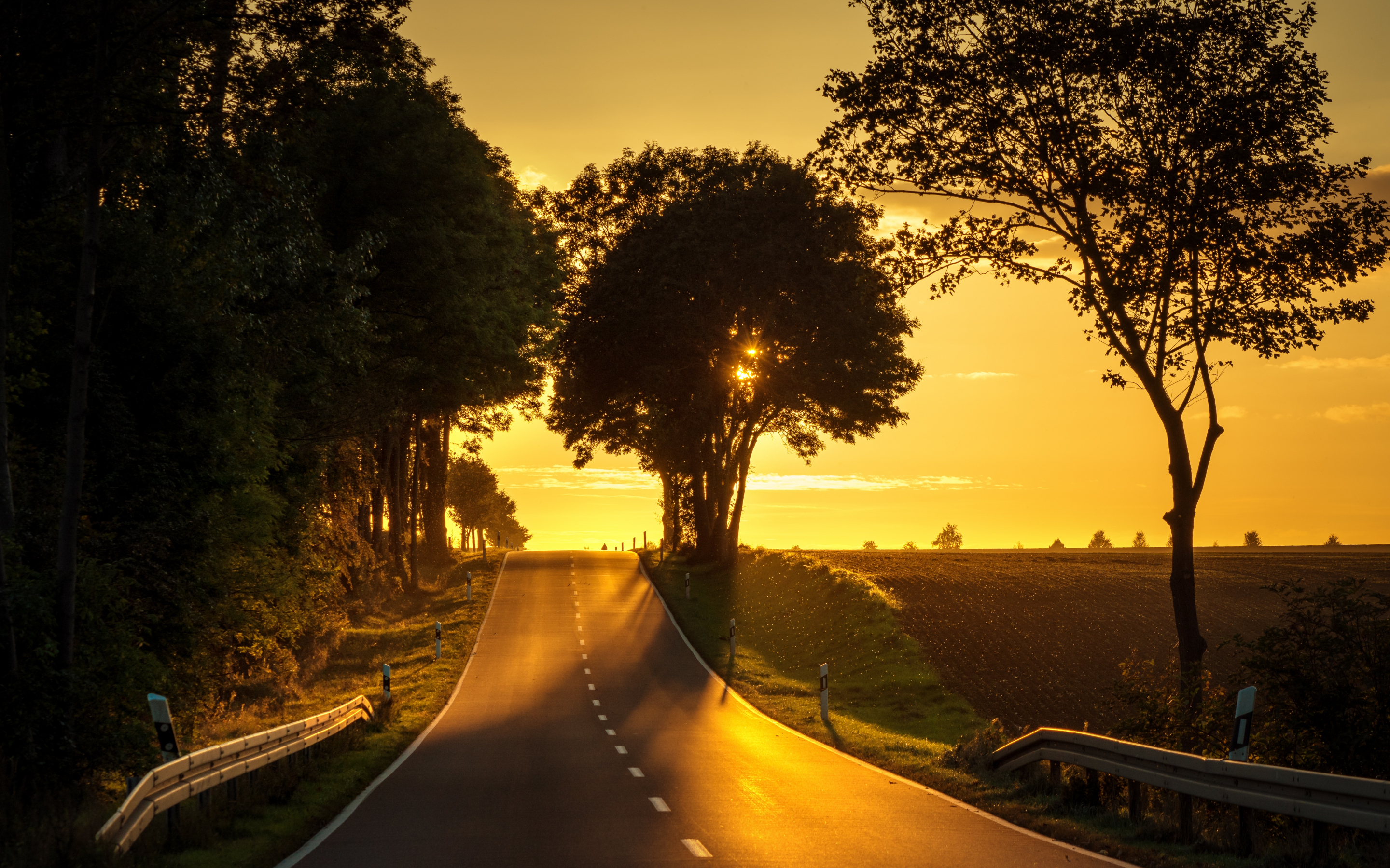 Road, sunset, tree, landscape, 2880x1800 wallpaper