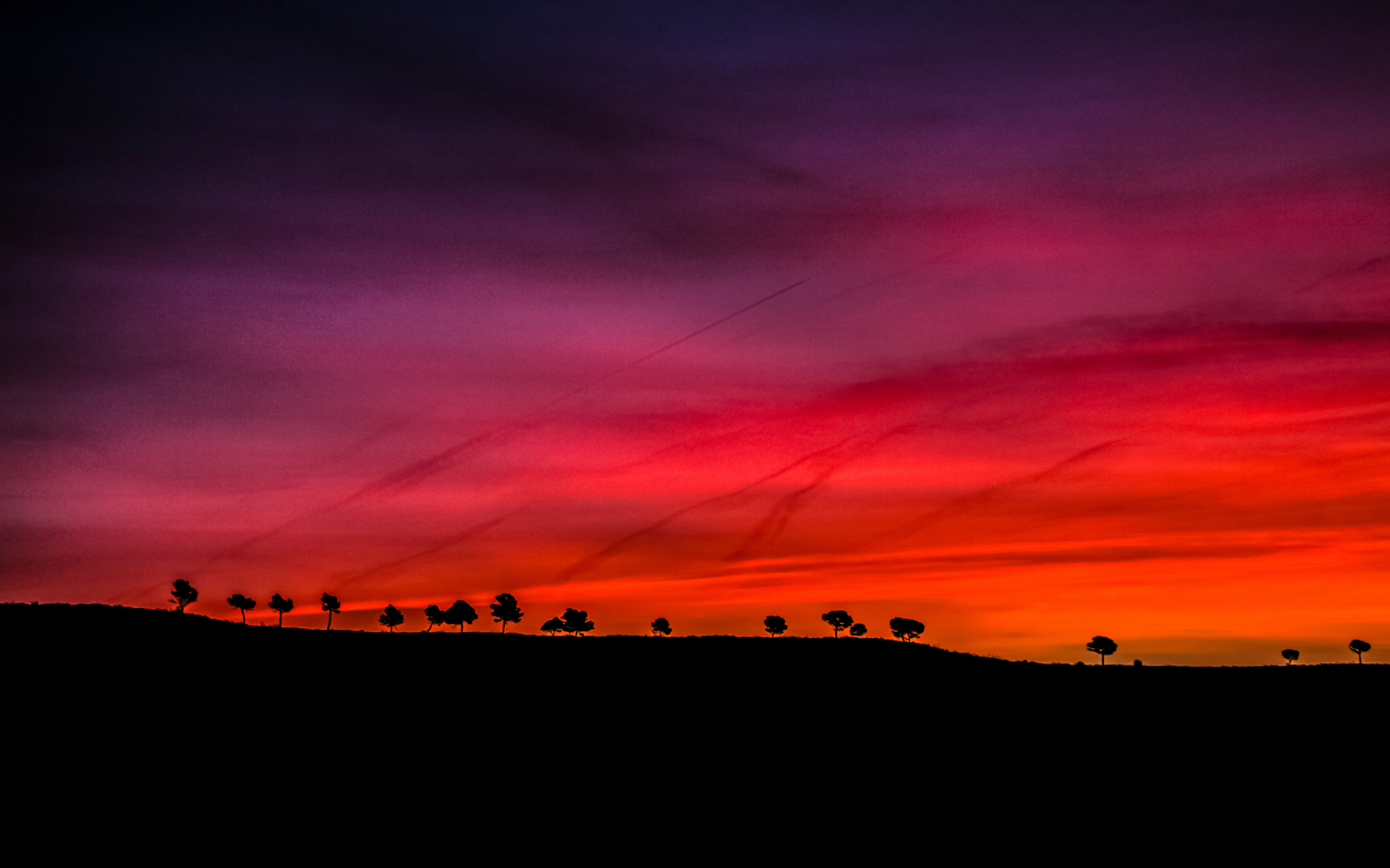 Silhouette, red sky, trees, sunset, 2880x1800 wallpaper