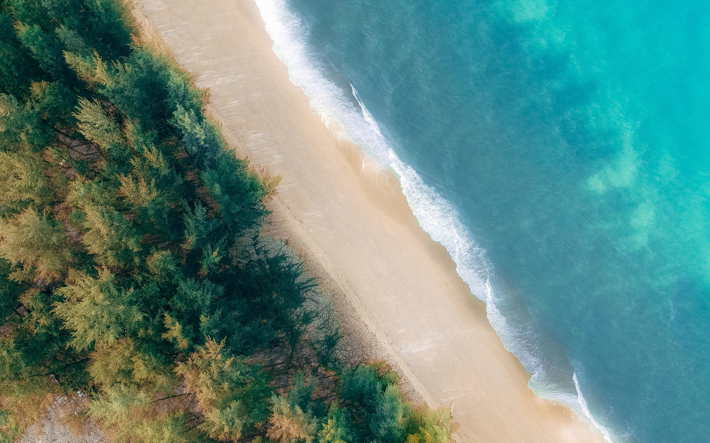 Exotic beach, aerial view, nature, 2880x1800 wallpaper