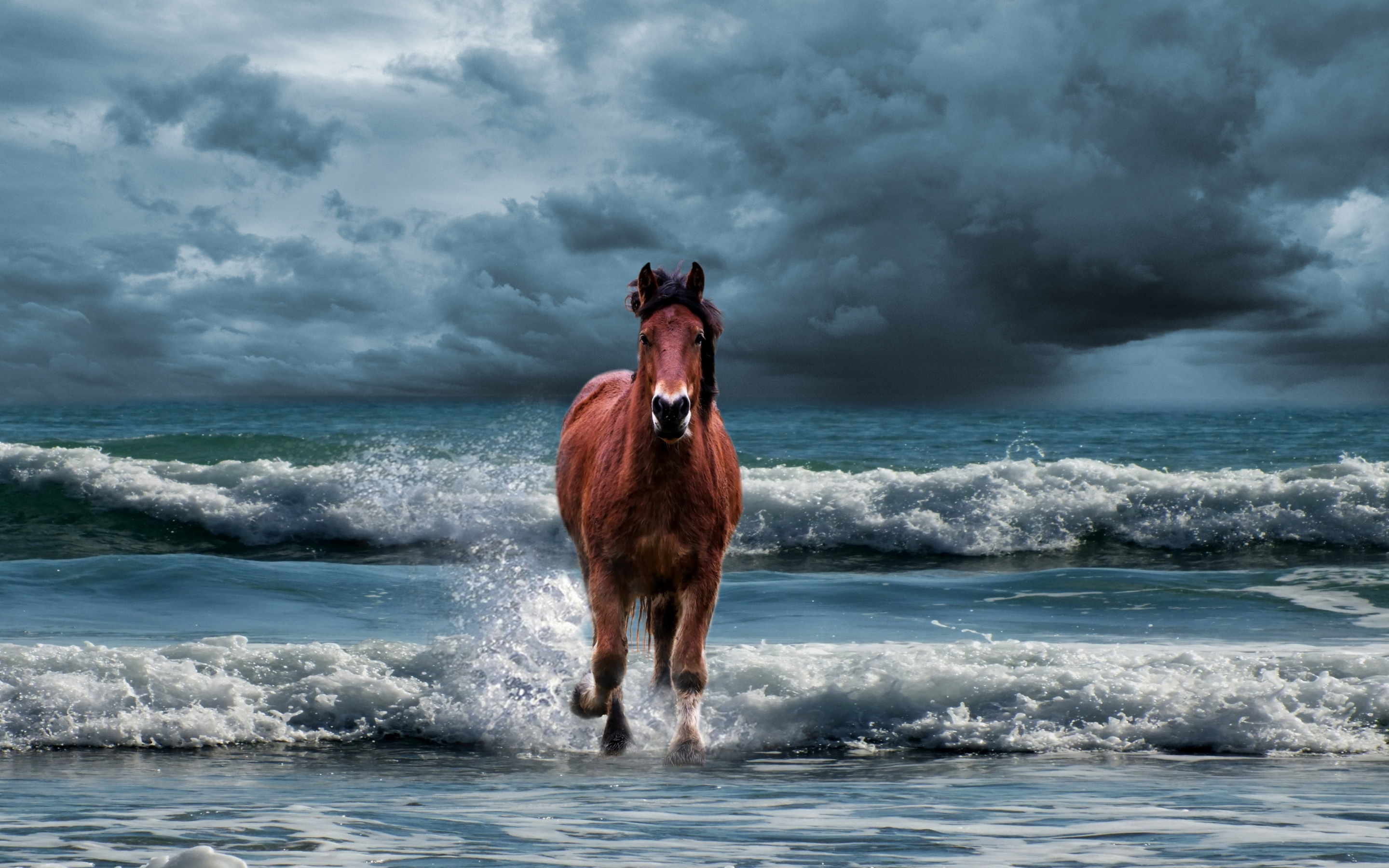 Horse, run, beach, sea waves, 2880x1800 wallpaper