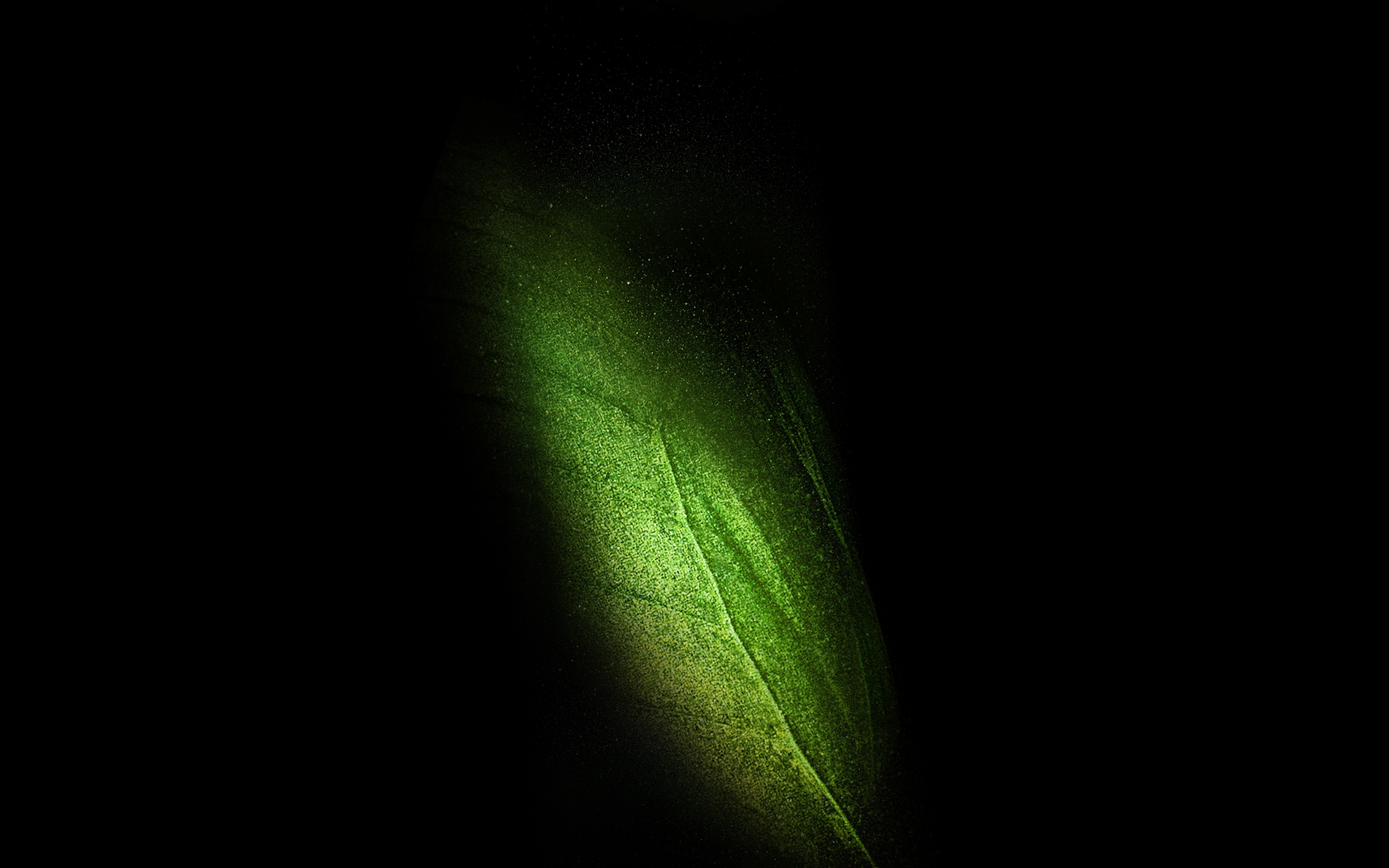 Samsung Galaxy Fold, leaf, green, 2880x1800 wallpaper