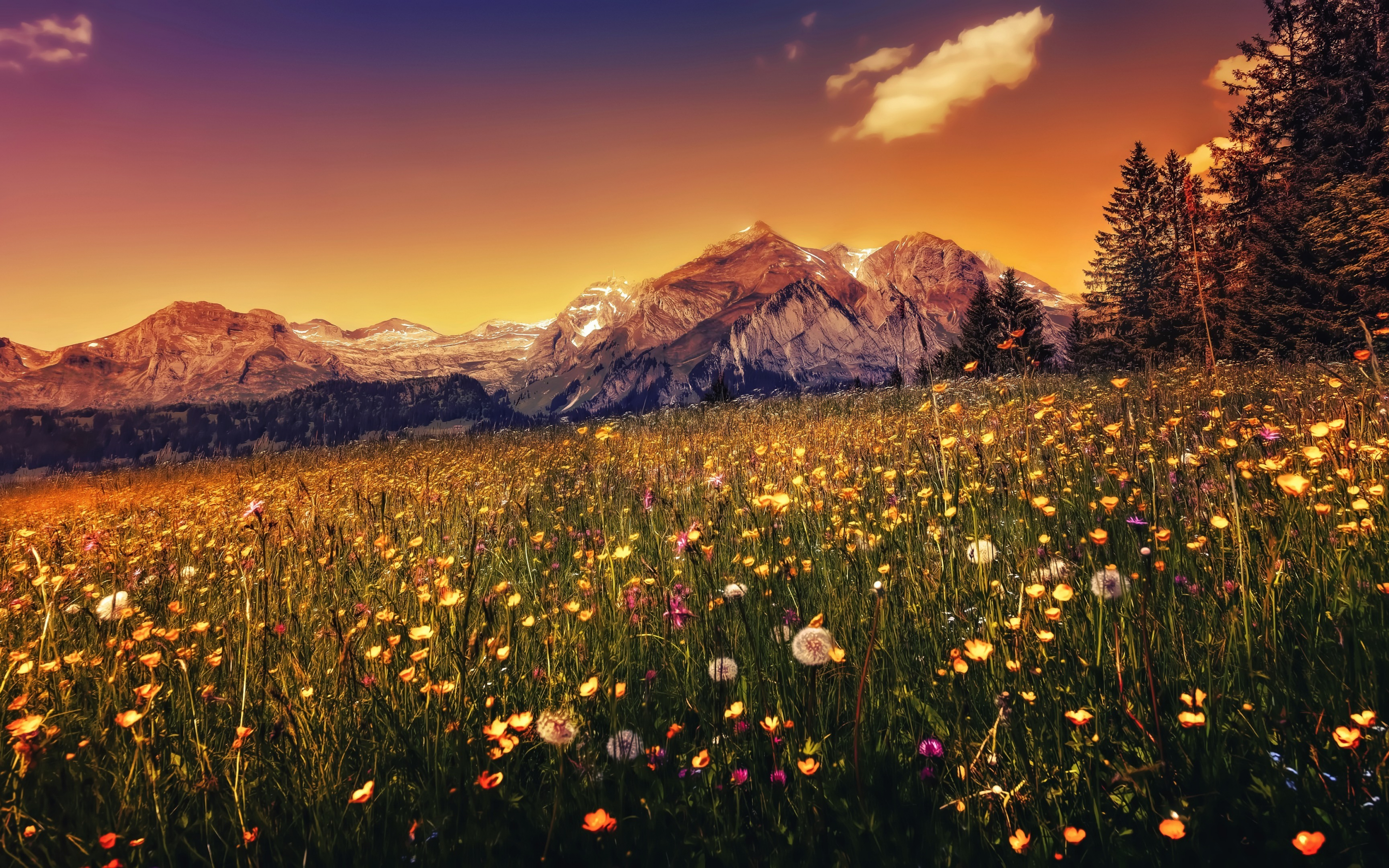 Landscape, plants, mountains, sunset, 2880x1800 wallpaper