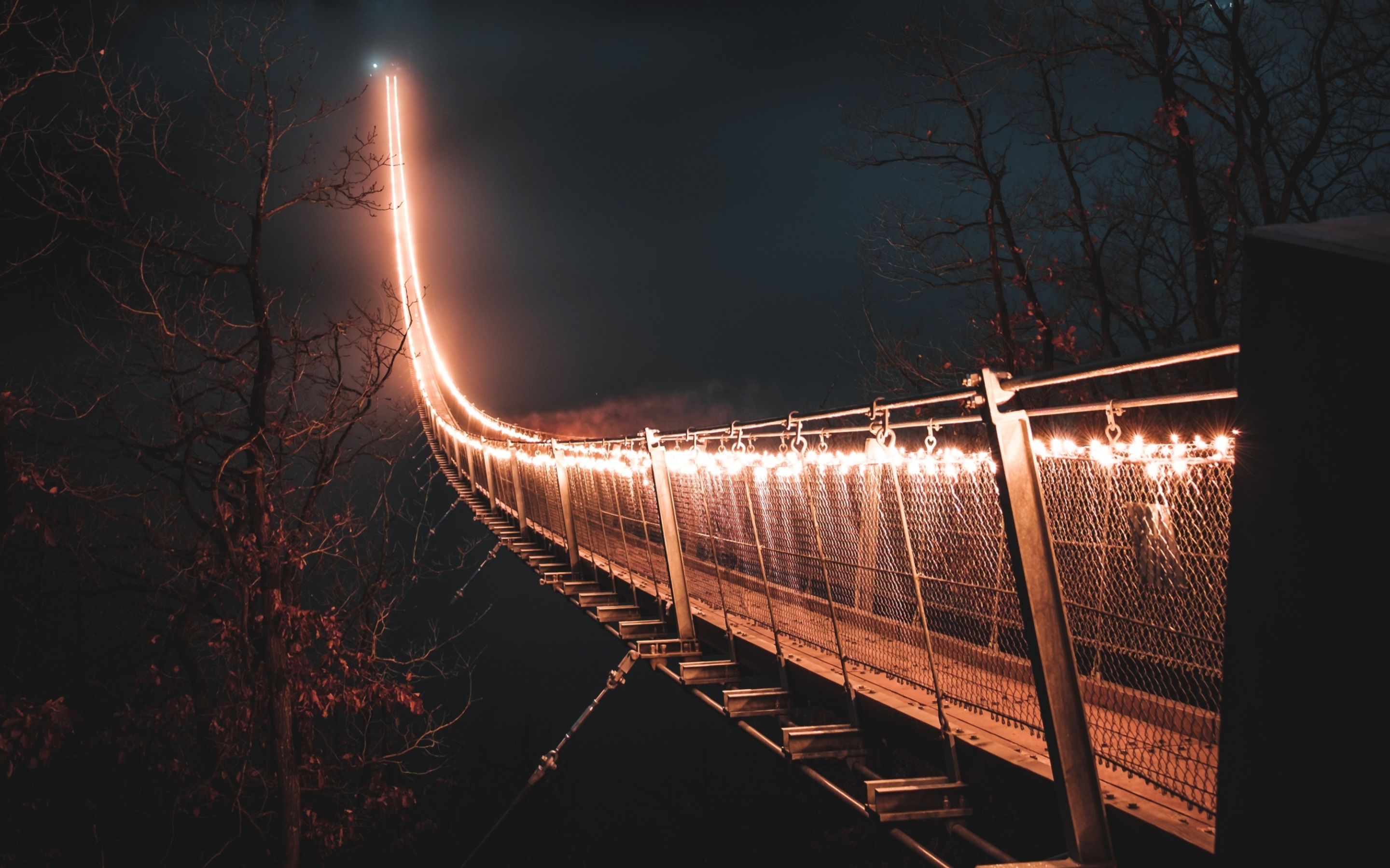 Lights on bridge, hanging bridge, night, 2880x1800 wallpaper