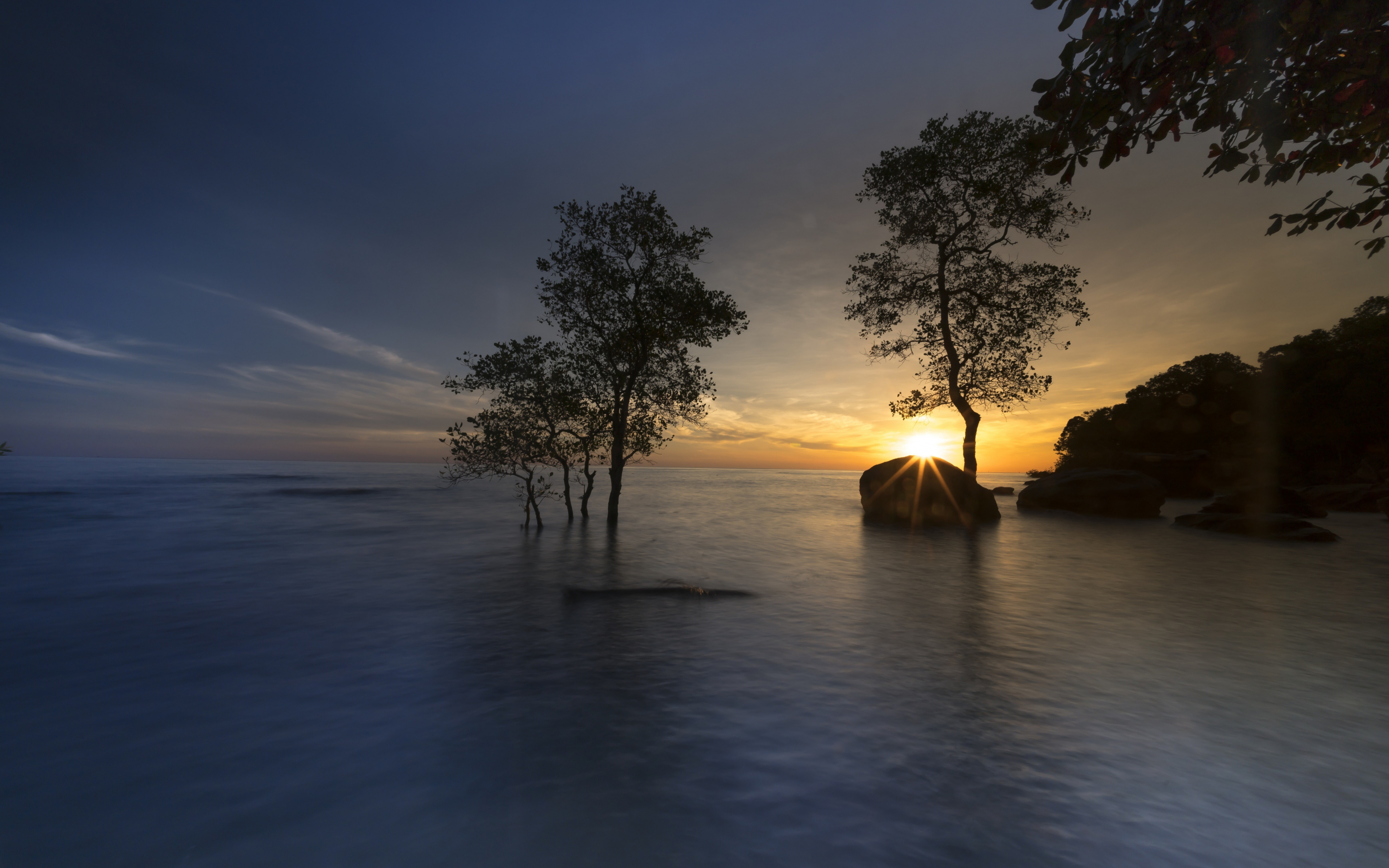 Mangrove, trees, sunset, sea, skyline, 2880x1800 wallpaper