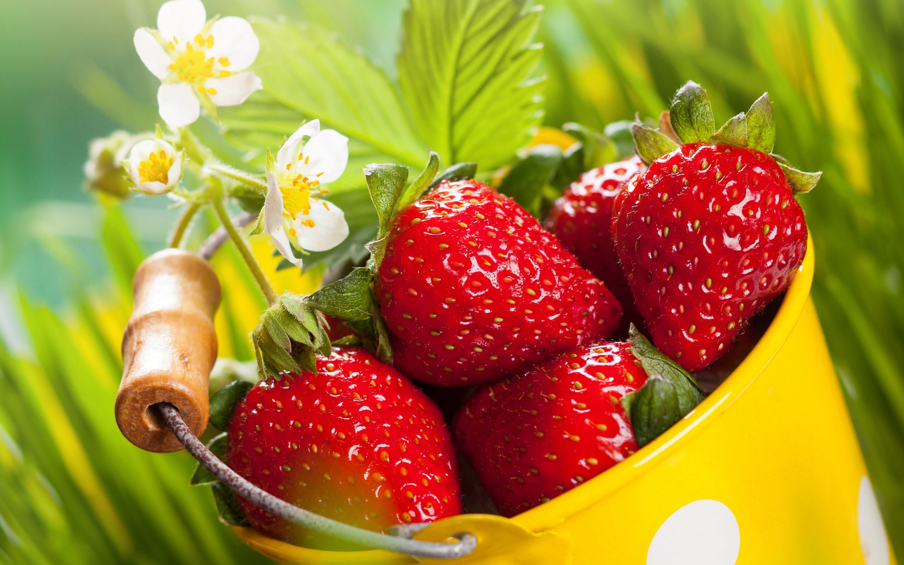 Strawberries, basket, fresh fruits, 2880x1800 wallpaper