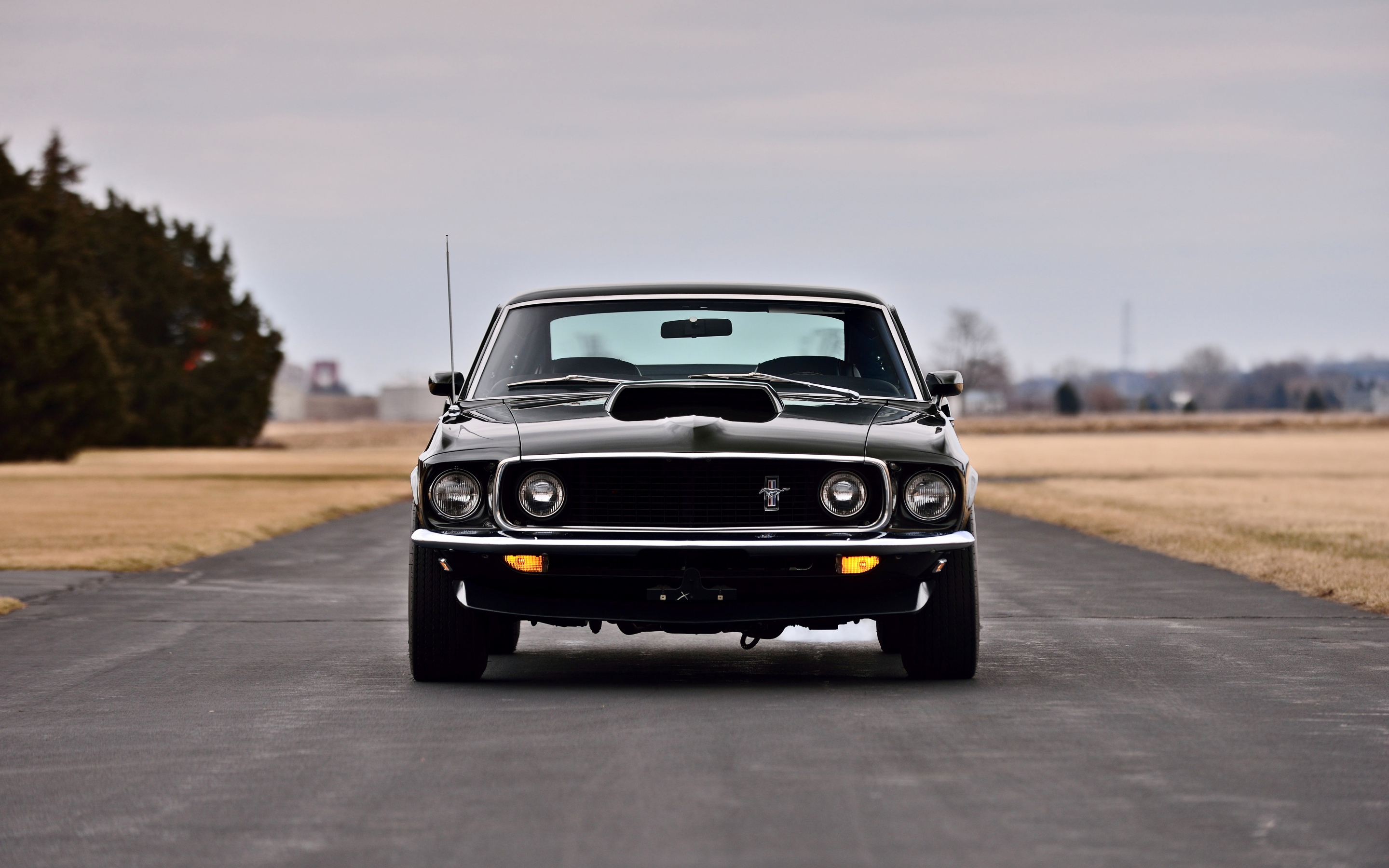 Ford Mustang Boss 429 Fastback, 1969, muscle car, 2880x1800 wallpaper