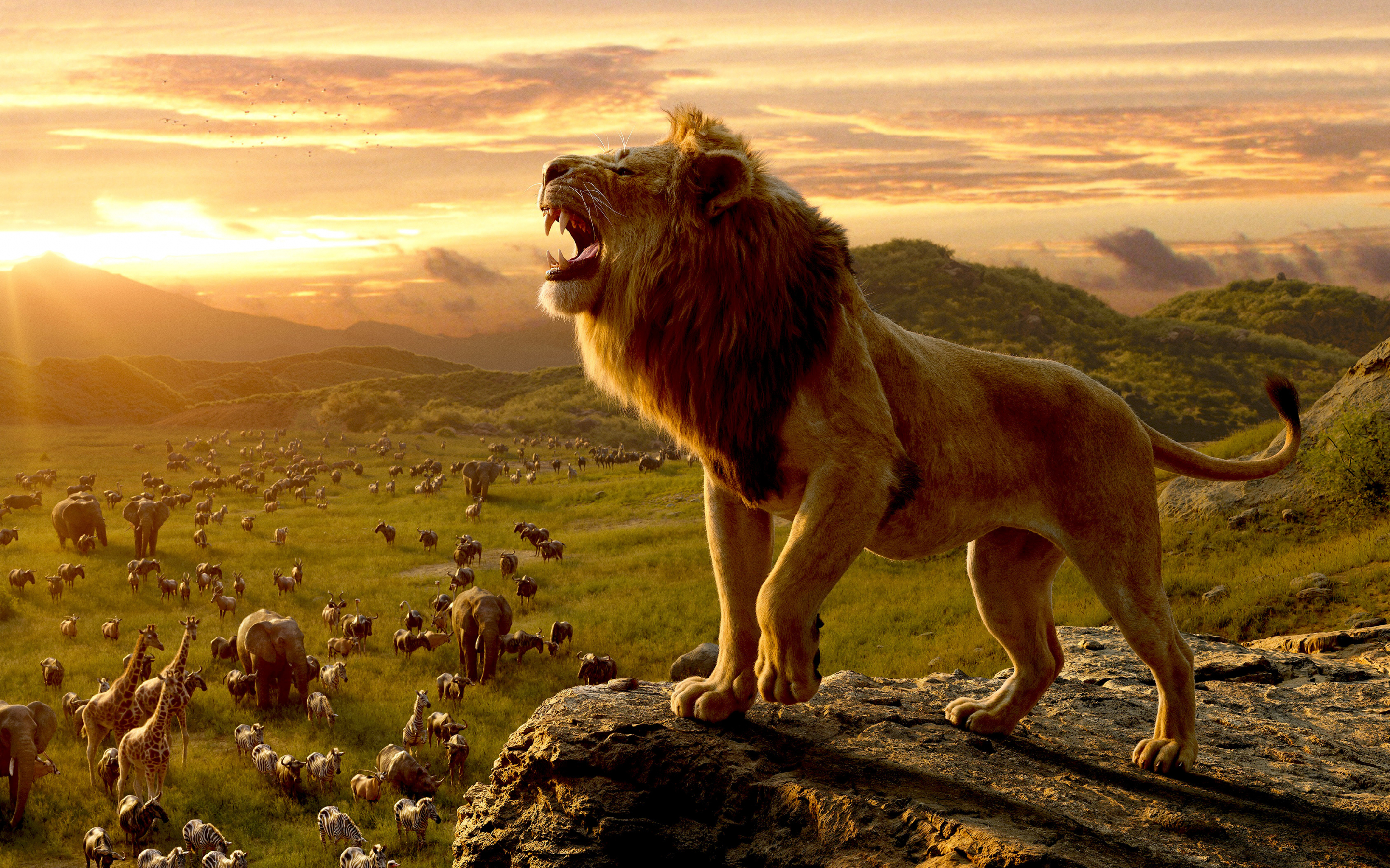 The Lion King, king of jungle, movie 2019, Simba, 2880x1800 wallpaper