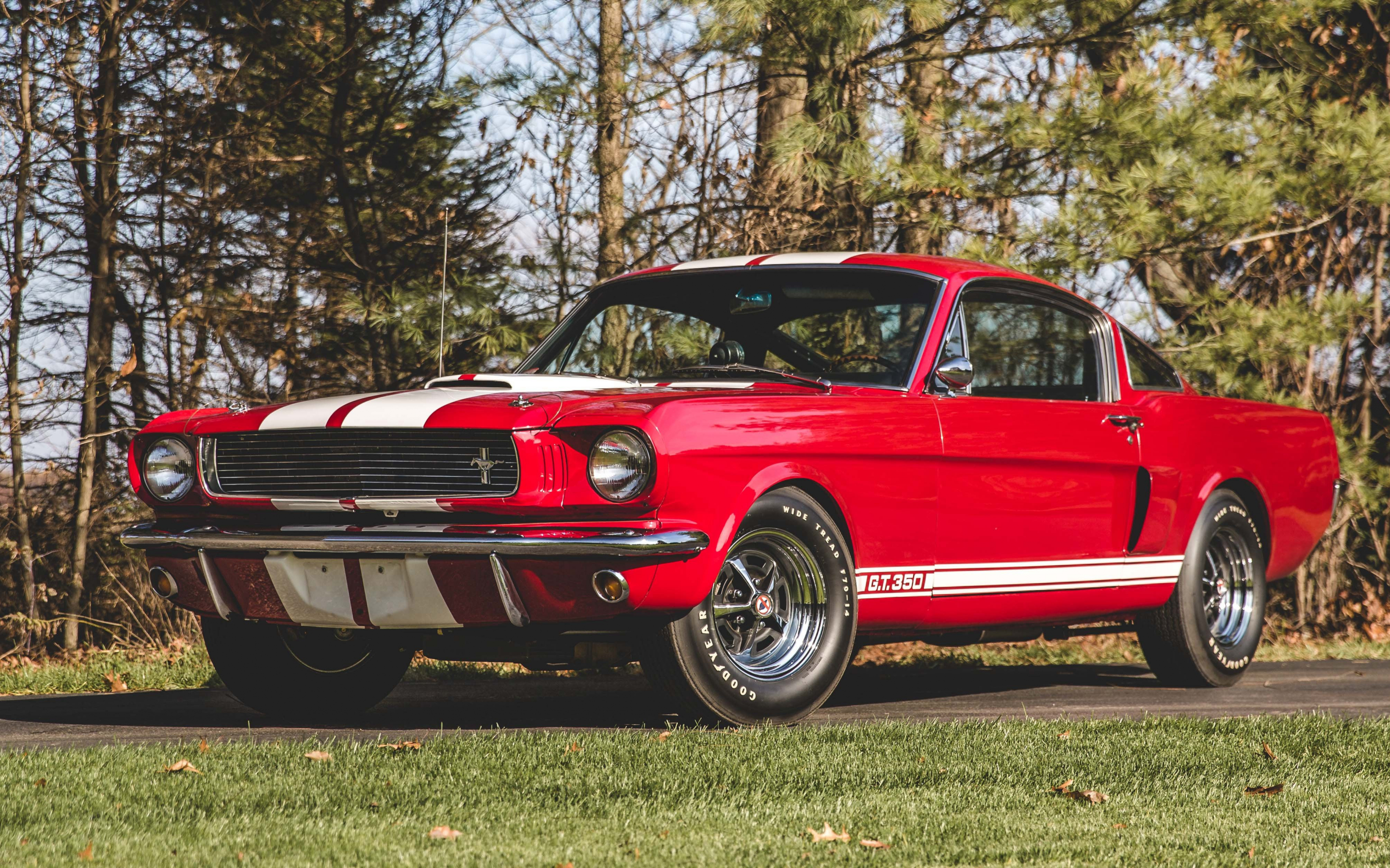 Red, classic car, 1966 Shelby GT350, 2880x1800 wallpaper