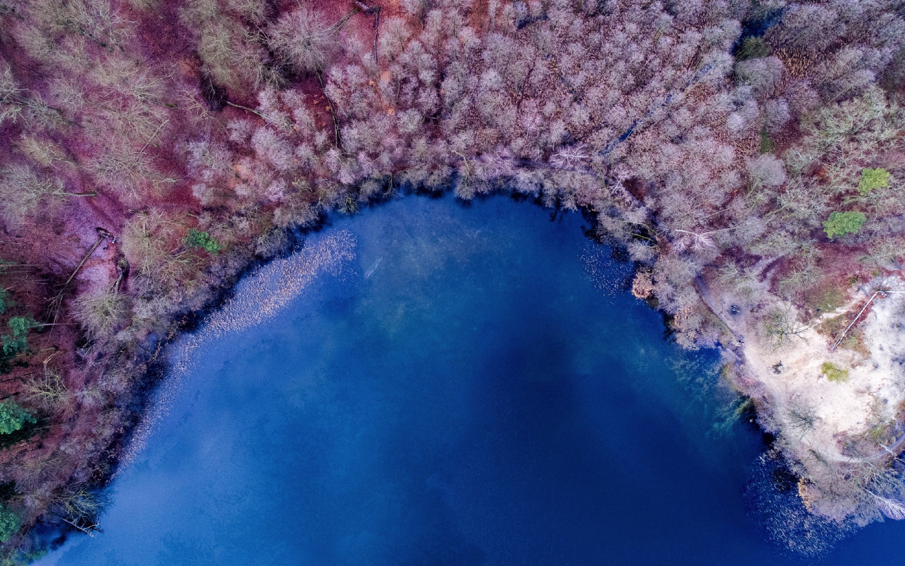 Nature, aerial view, color, lake, forest, colorful, 2880x1800 wallpaper