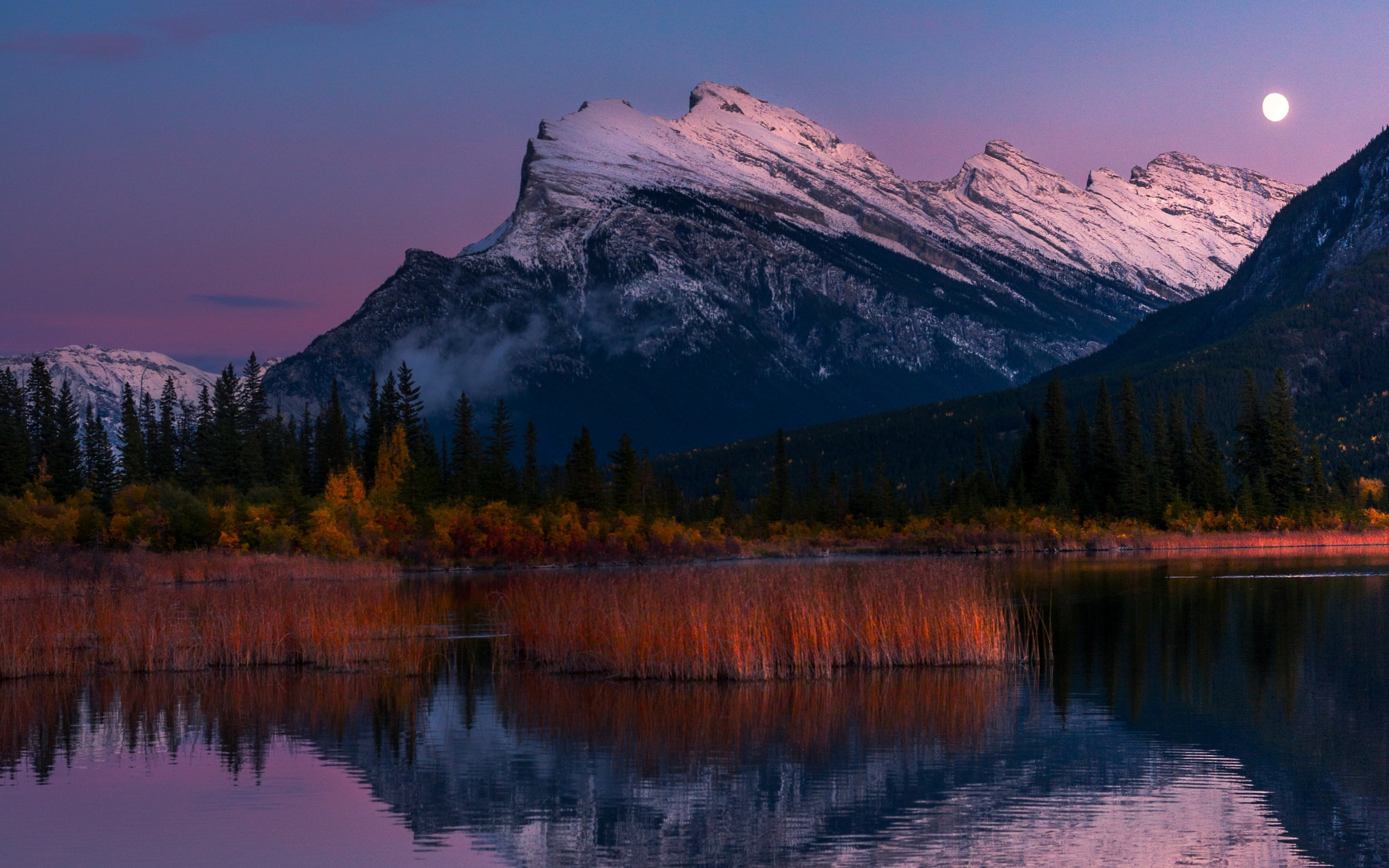 Vermillion Lakes, Banff National Park, mountains, trees, night, nature, moon, 2880x1800 wallpaper