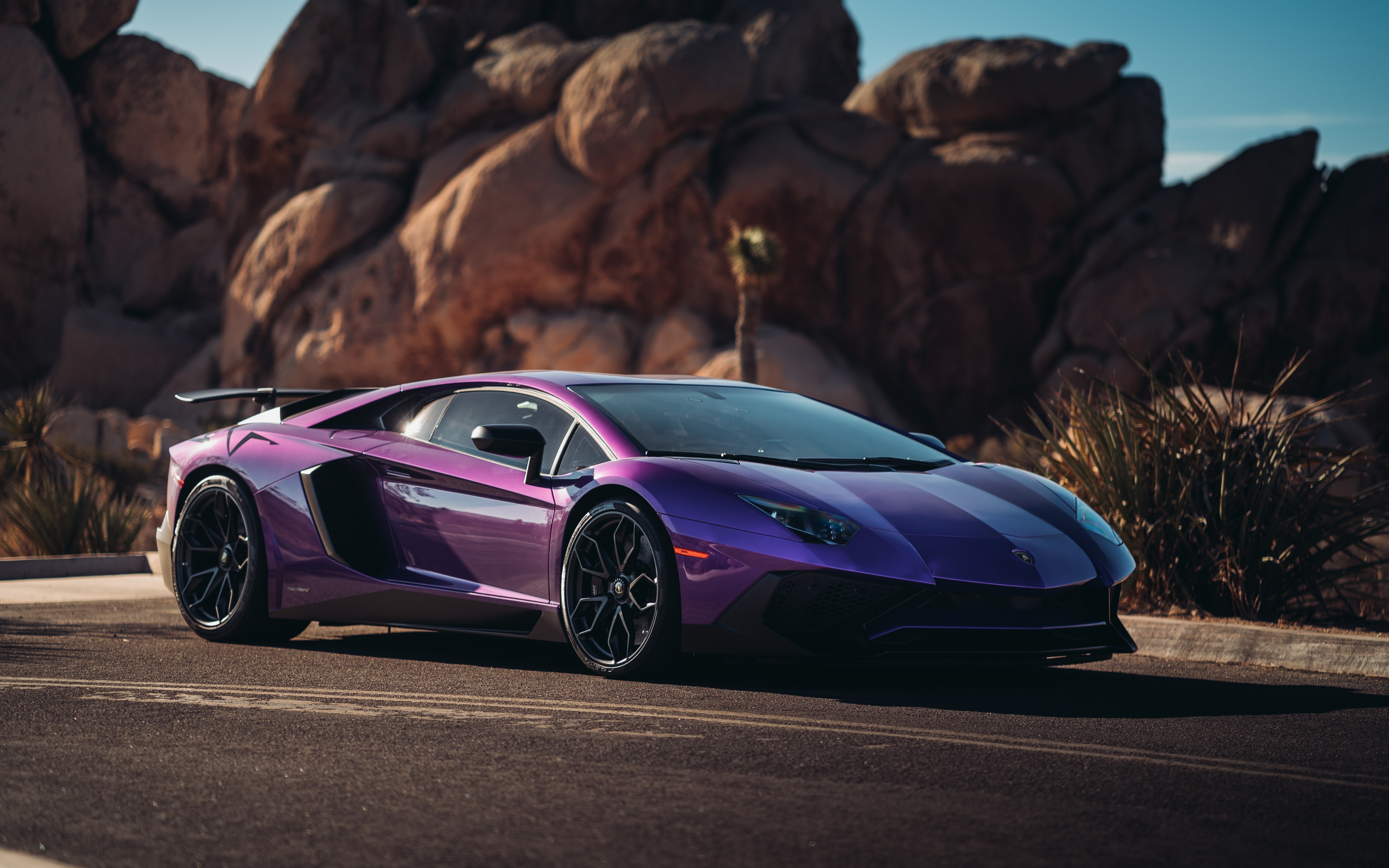 Lamborghini Aventador LP 750, sports car, purple, 2880x1800 wallpaper