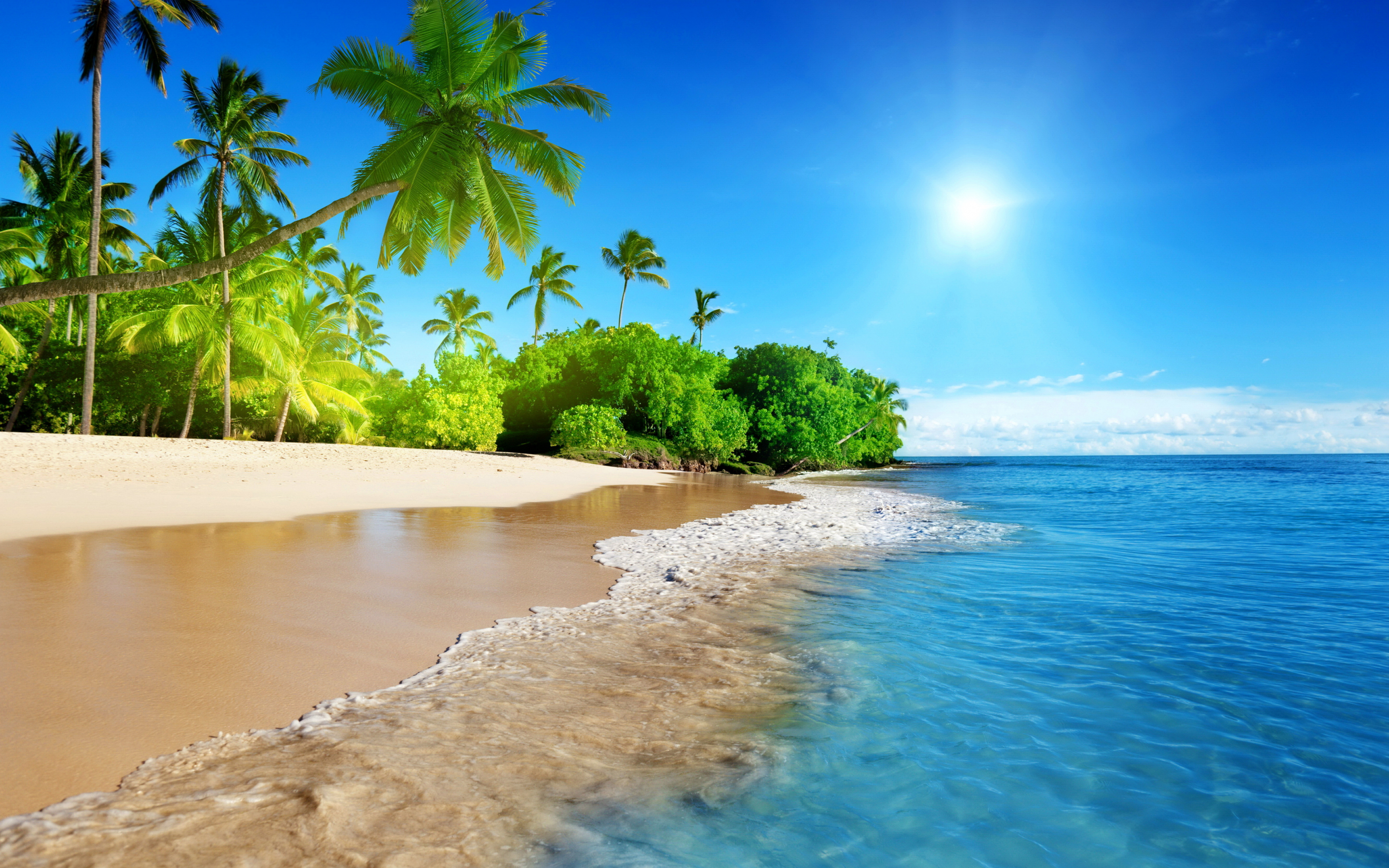 Tropical beach, sea, calm, sunny day, holiday, 2880x1800 wallpaper