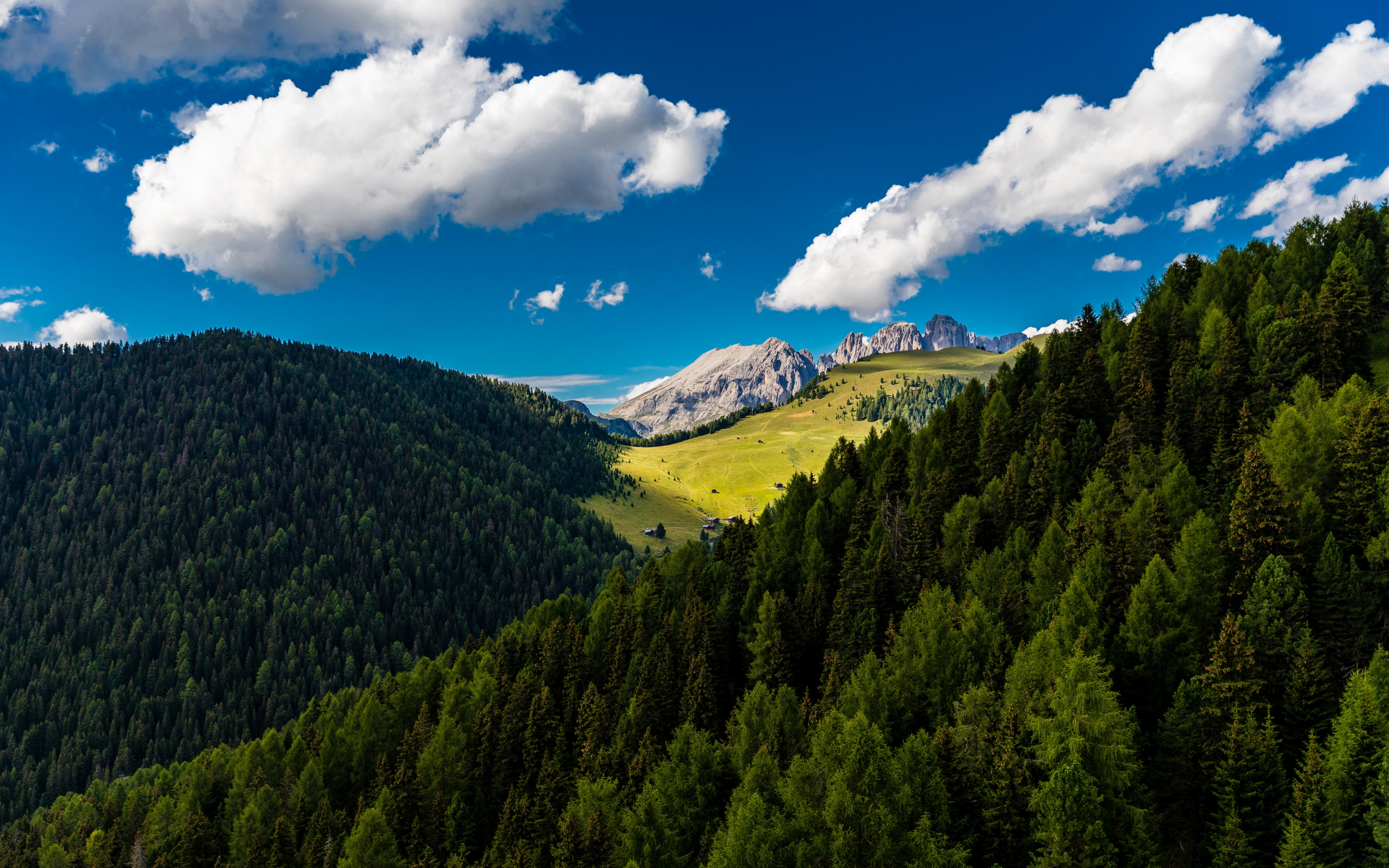 Trees, mountains, clouds, summer, sunny day, 2880x1800 wallpaper