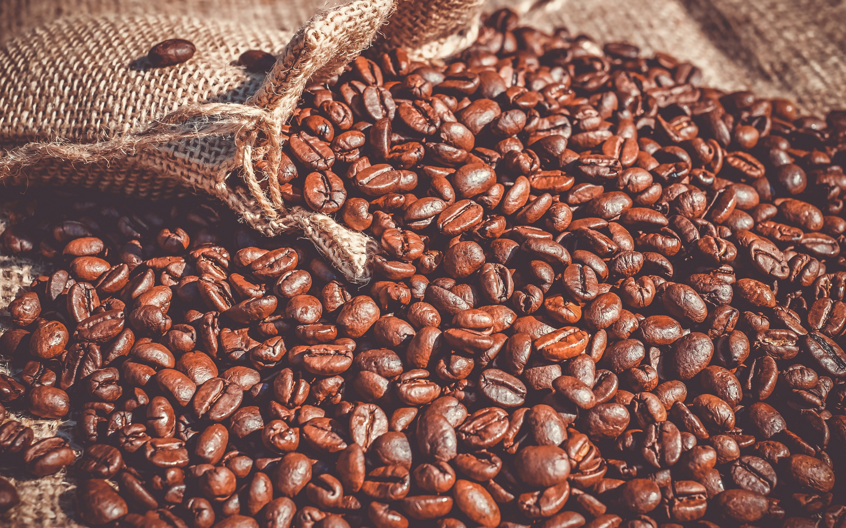 Coffee beans, roasted, 2880x1800 wallpaper