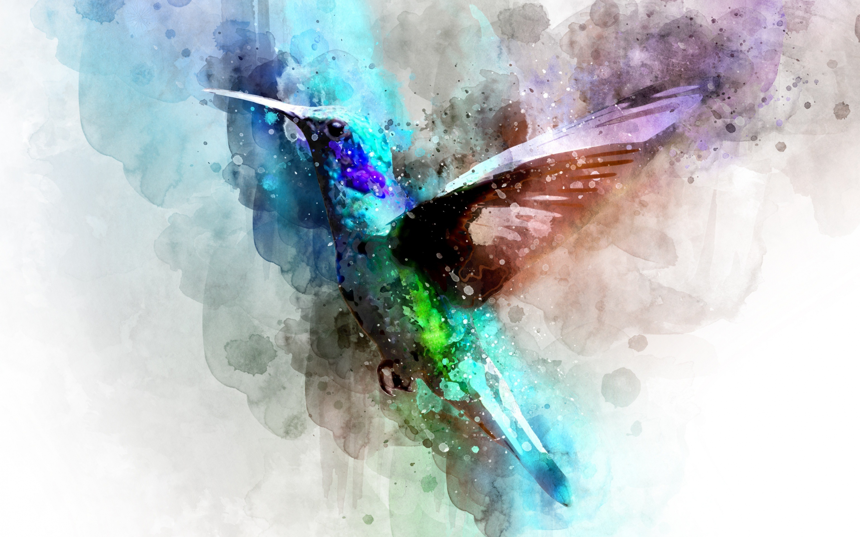 Bird, hummingbird, digital art, 2880x1800 wallpaper