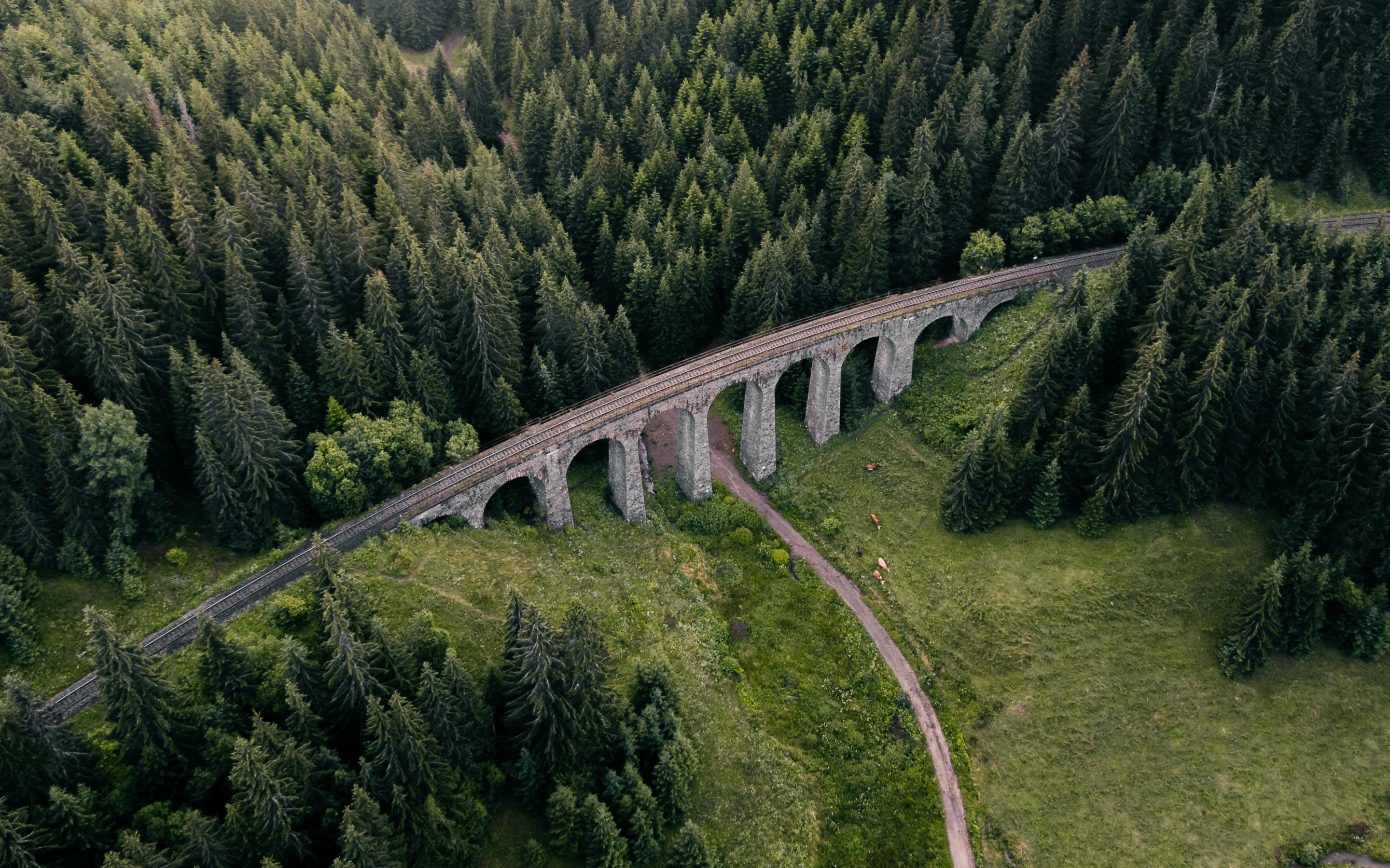 Aerial view, green trees, forest, bridge, 2880x1800 wallpaper