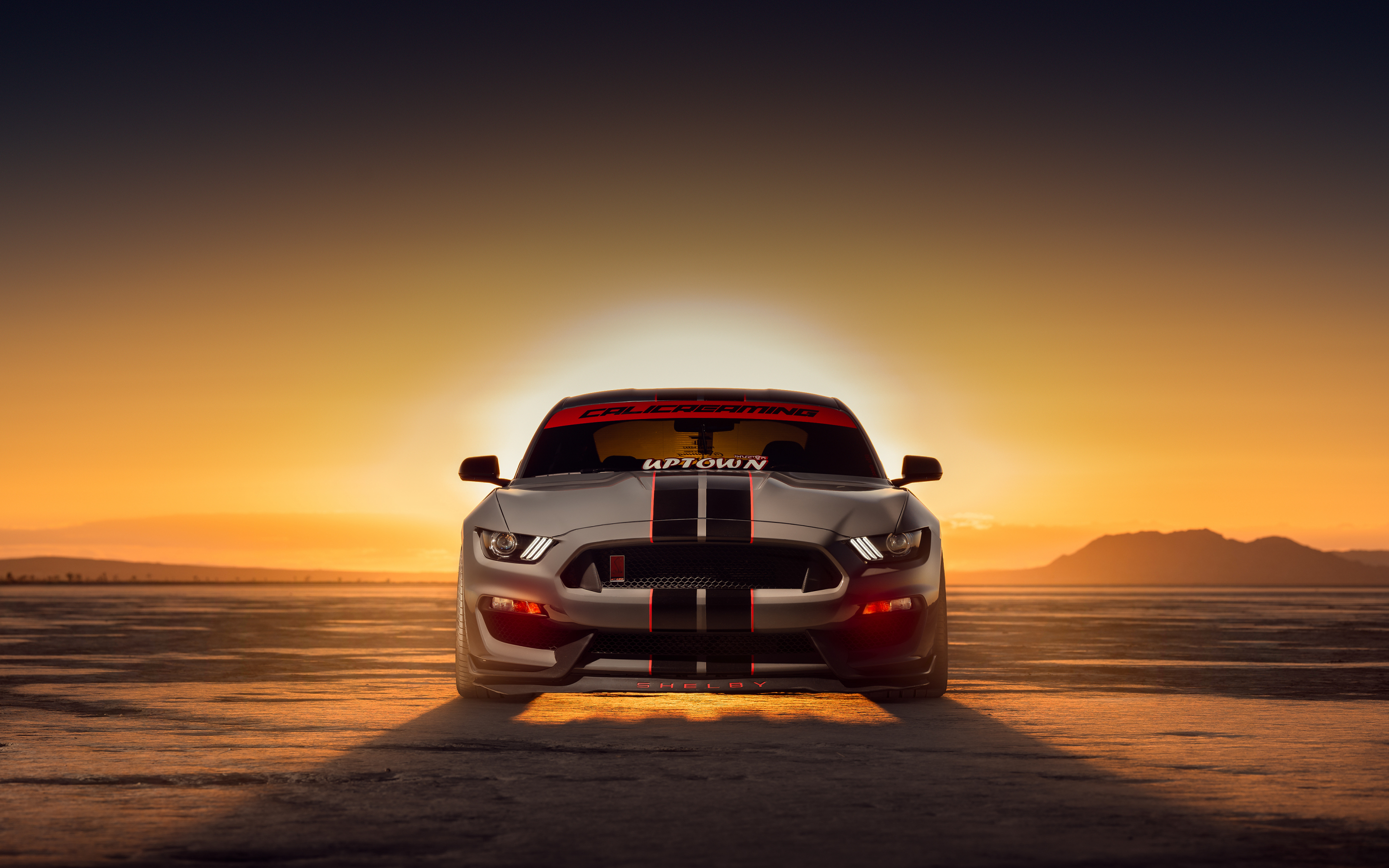 2022 Ford shelby GT350, sport muscle car, 2880x1800 wallpaper