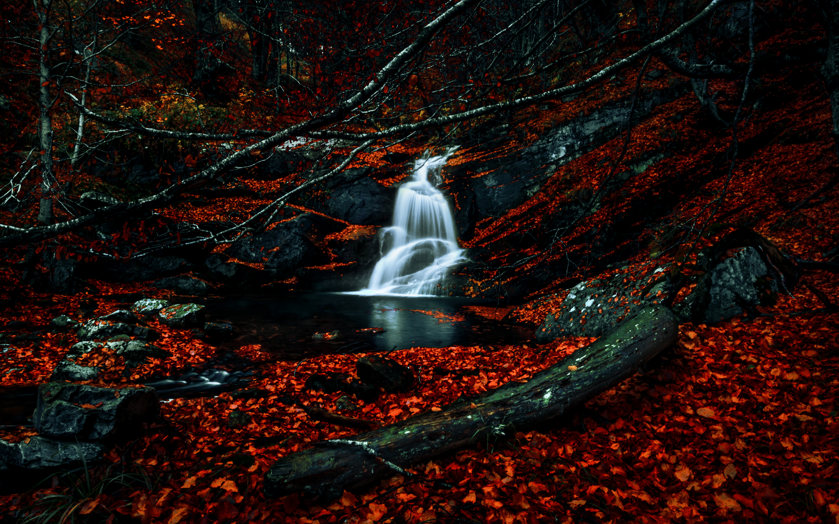 Autumn, red leaves, forest, waterfall, river, water stream, 2880x1800 wallpaper