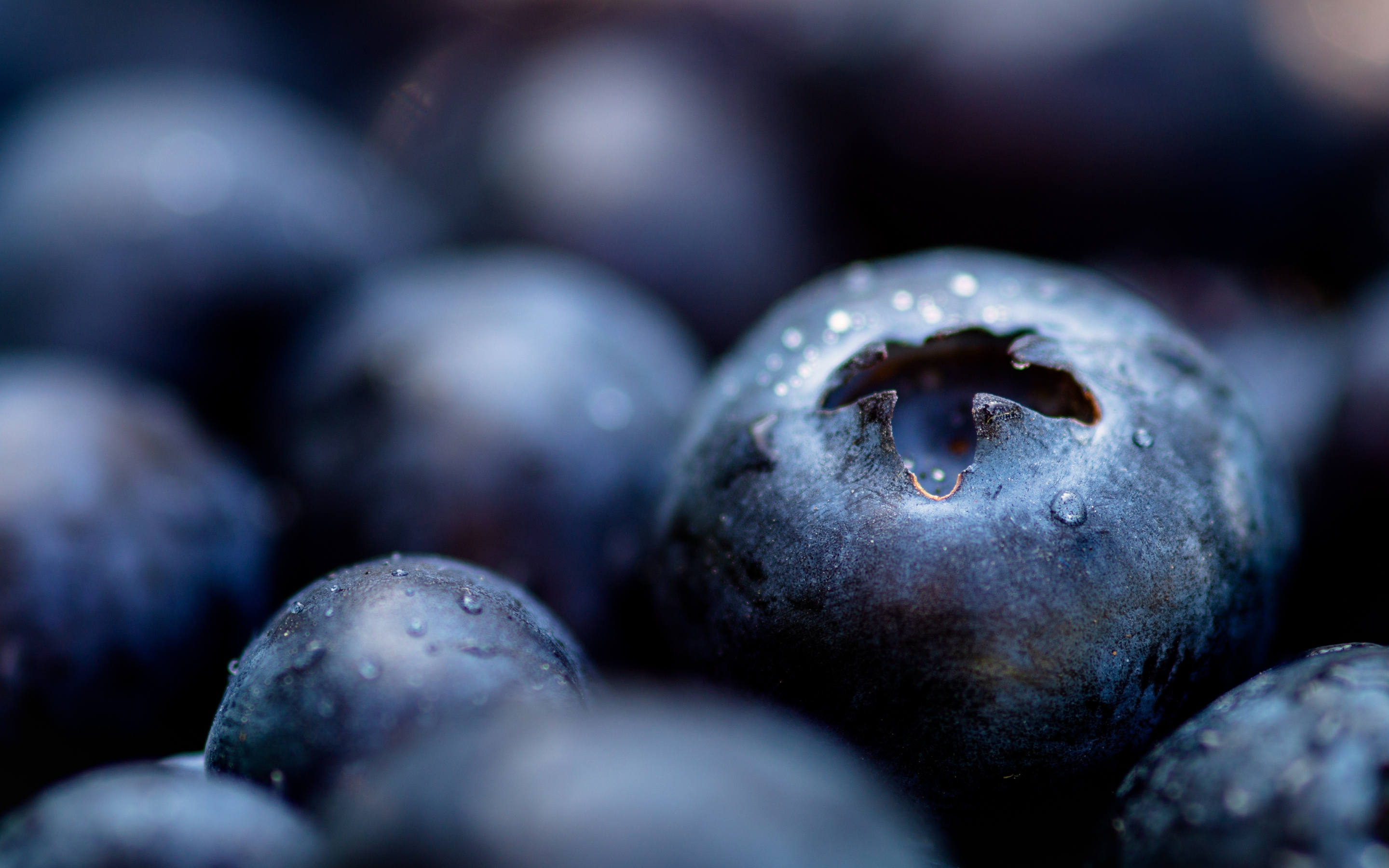 Blueberries, fresh, drops, close up, 2880x1800 wallpaper