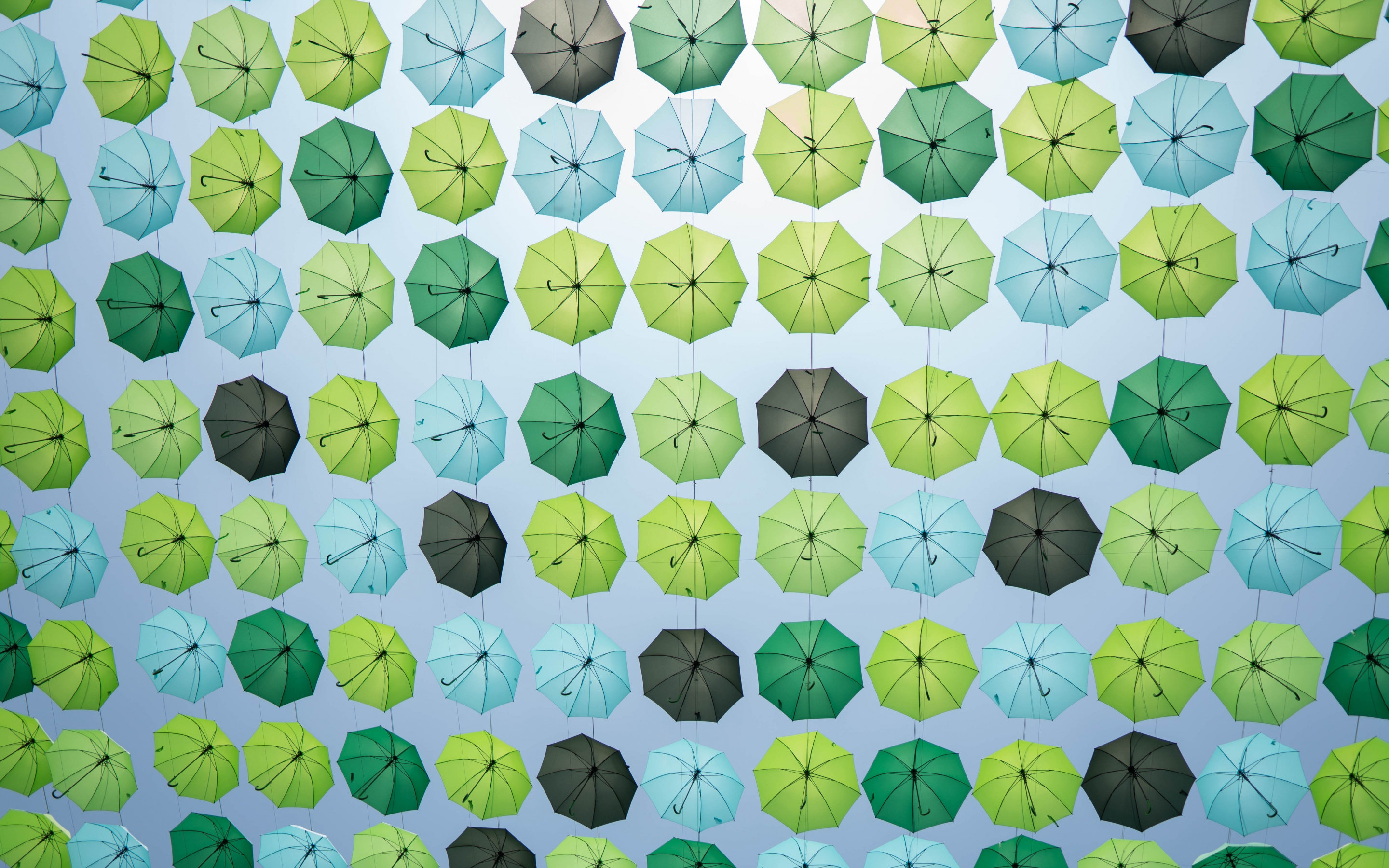 Greenish umbrella, decoration, 2880x1800 wallpaper