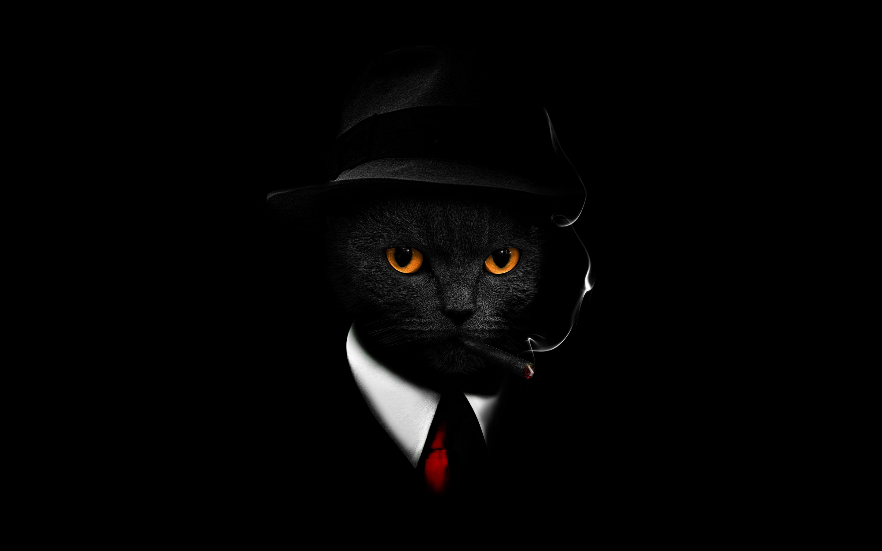 Black cat in suit, black hat & cigar, dark, 2880x1800 wallpaper