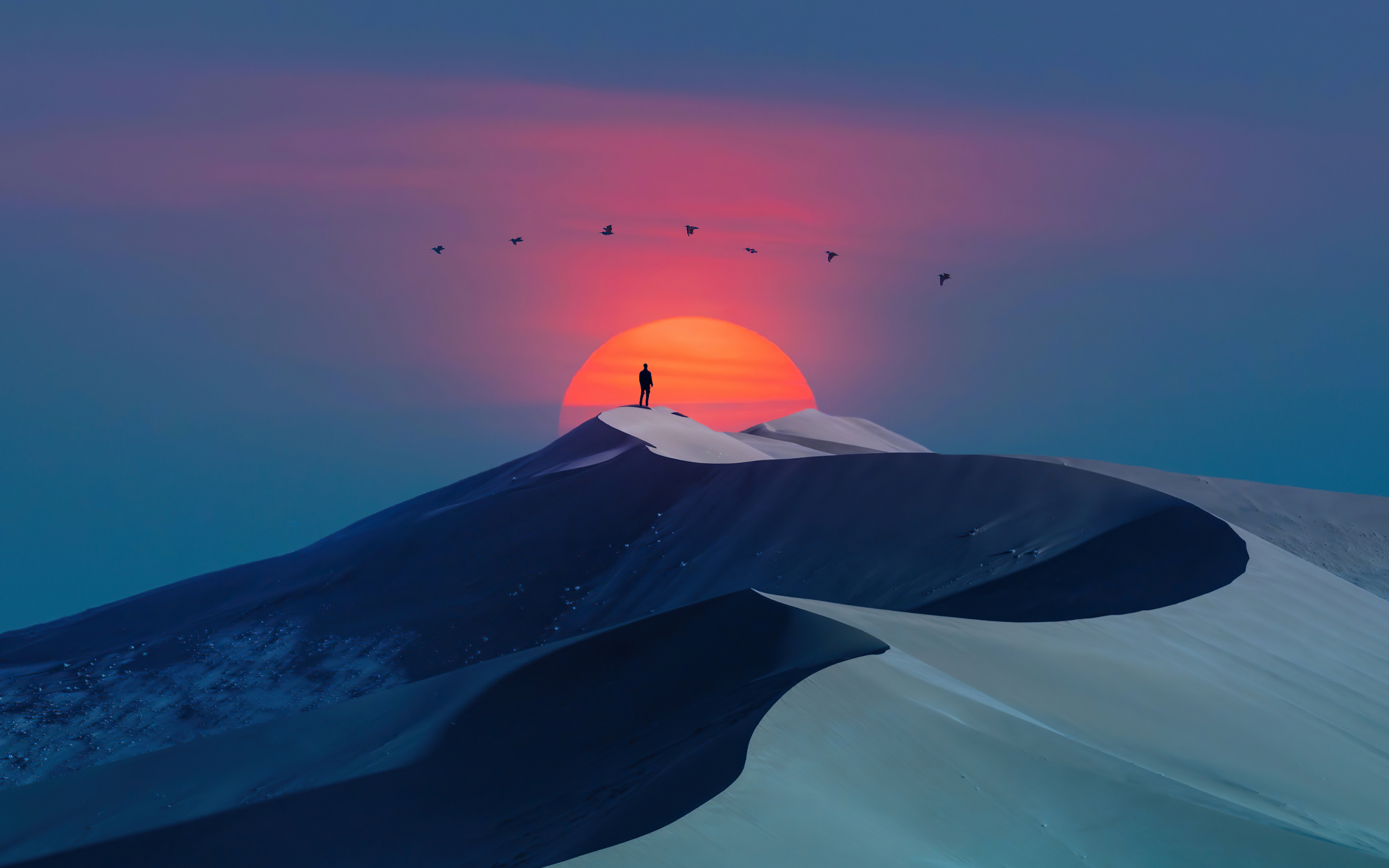 Birds over desert, sunset & man, silhouette, minimal art, 2880x1800 wallpaper