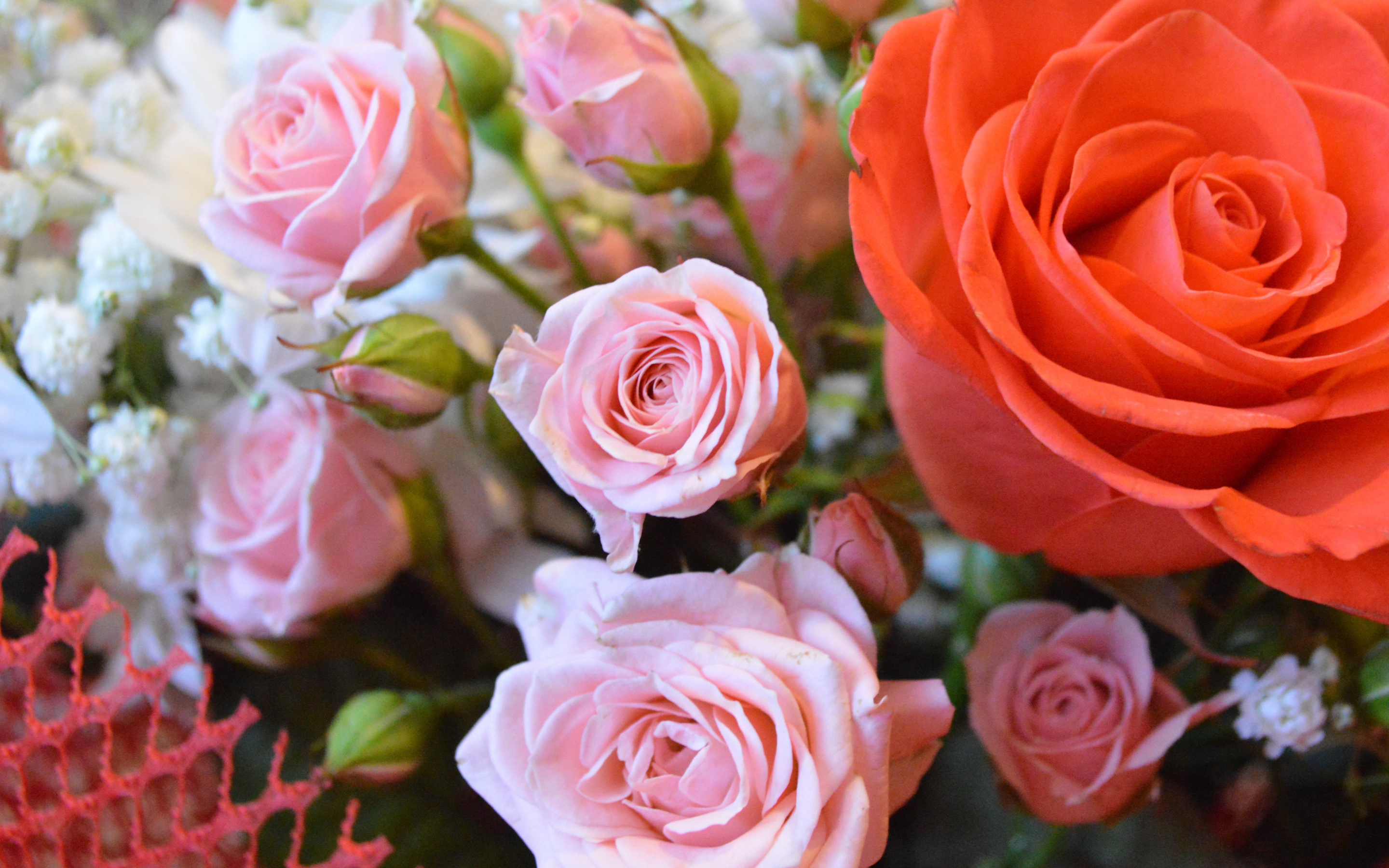 Bouquet, rose, colorful, 2880x1800 wallpaper