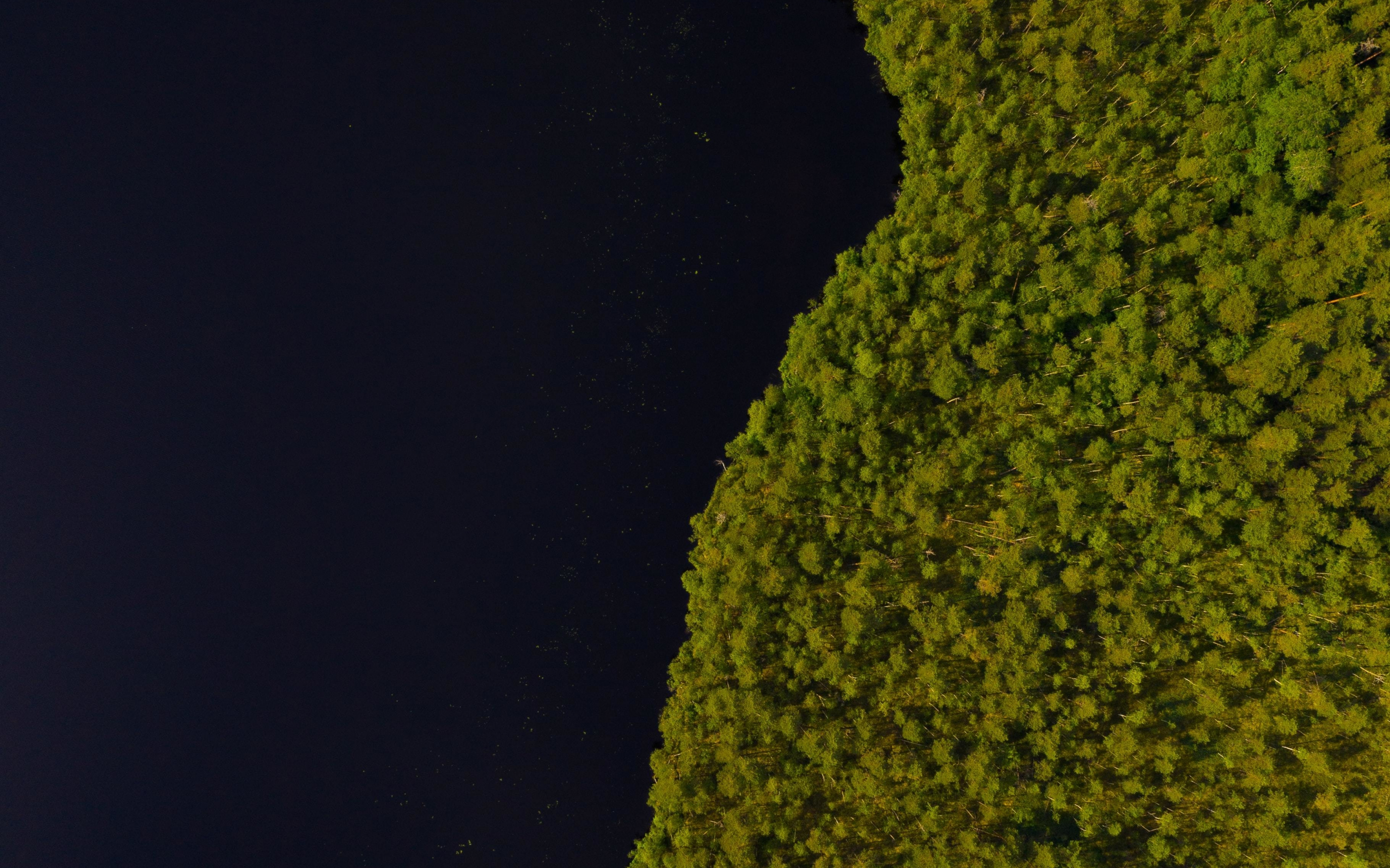 Lake, trees, aerial view, edges of lake, 2880x1800 wallpaper