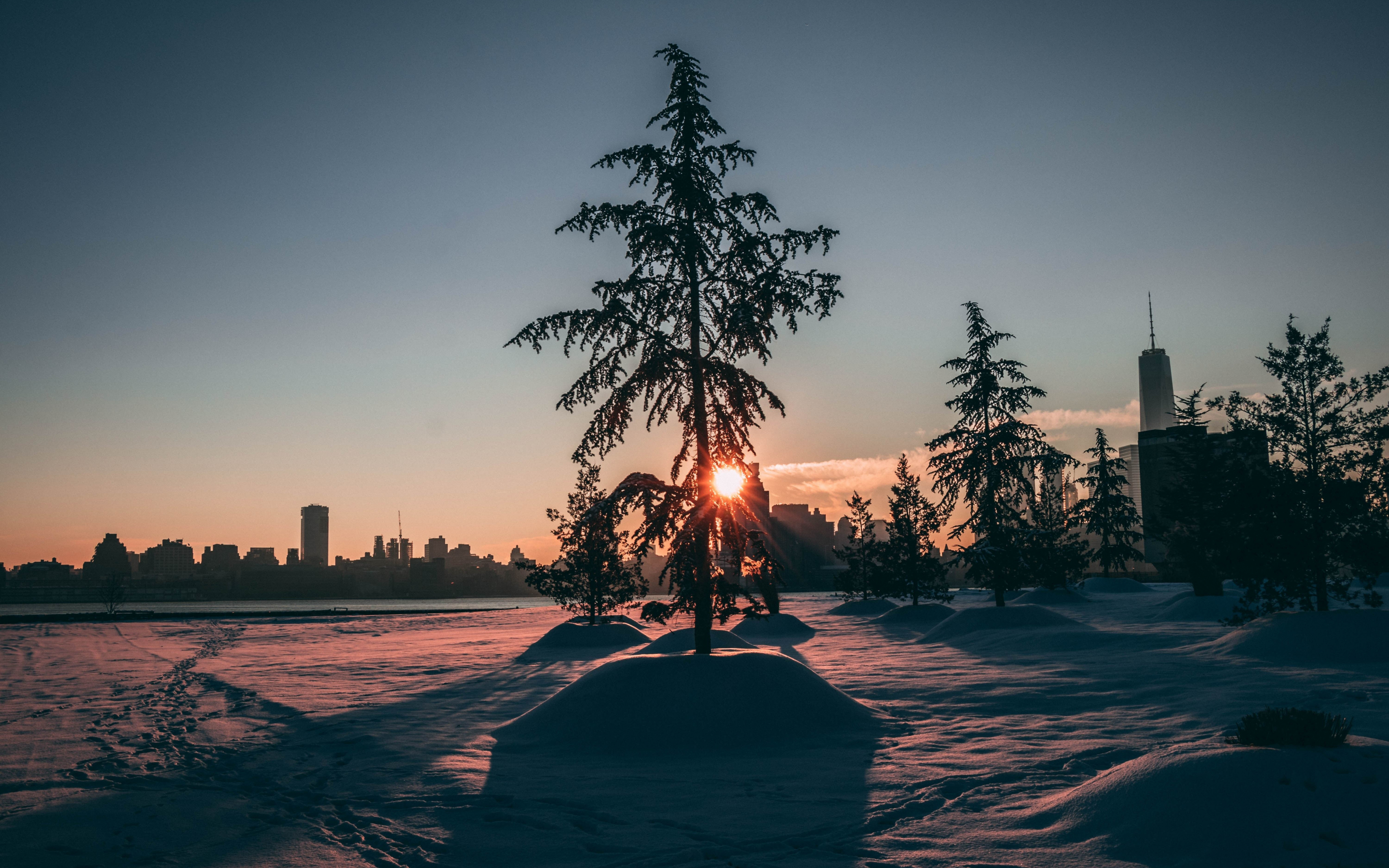 City park, winter, tree, sunrise, morning, 2880x1800 wallpaper