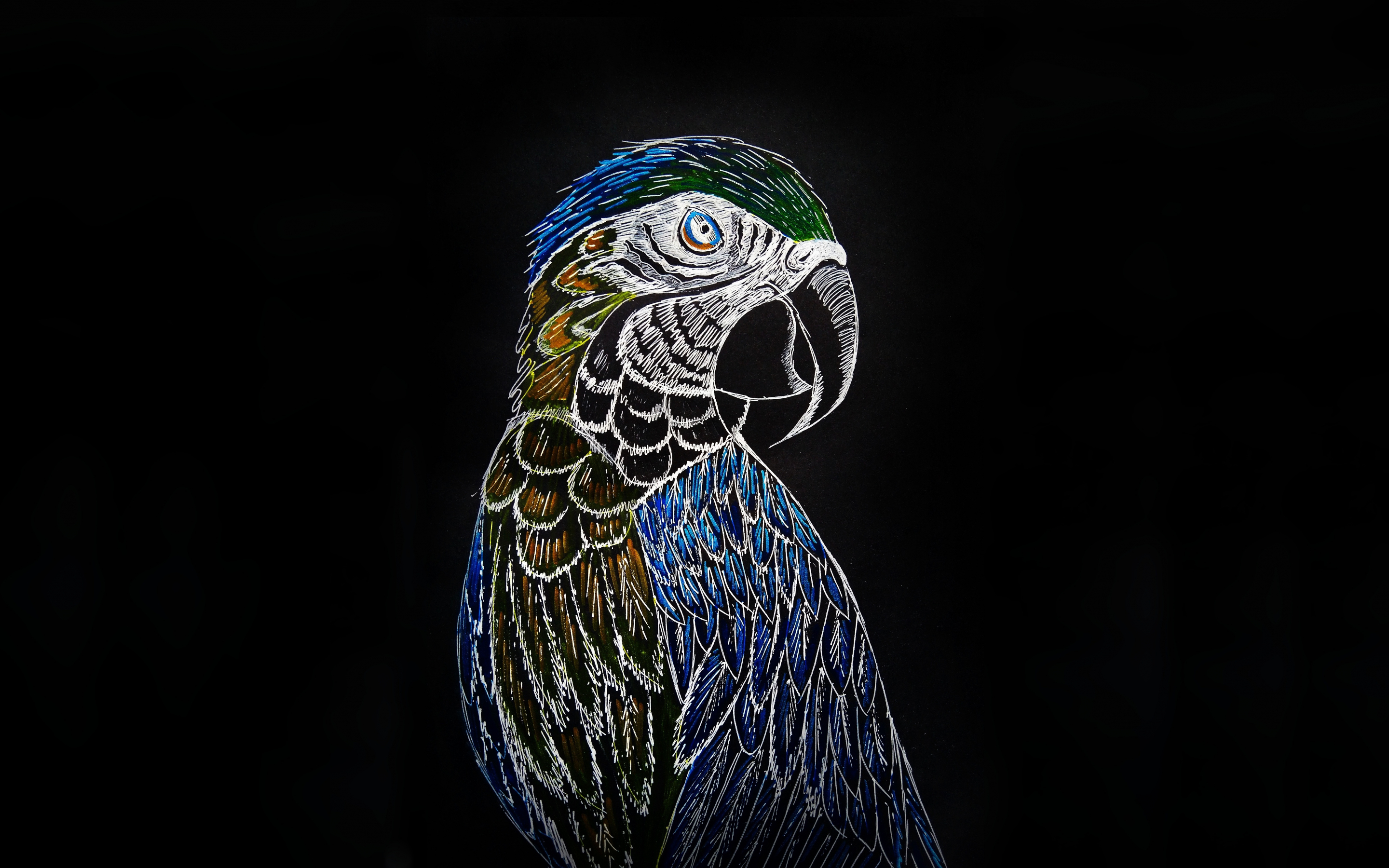 Parrot, macaw, art, 2880x1800 wallpaper