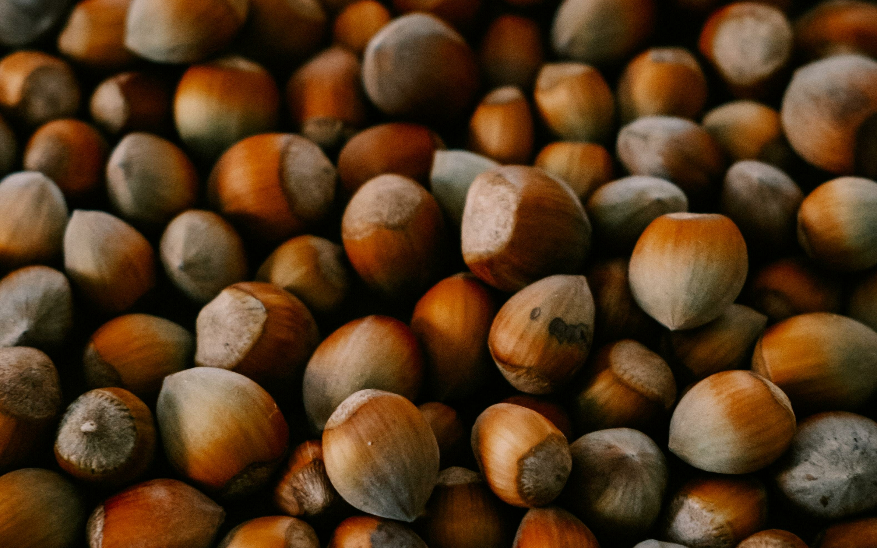 Nuts, close up, 2880x1800 wallpaper
