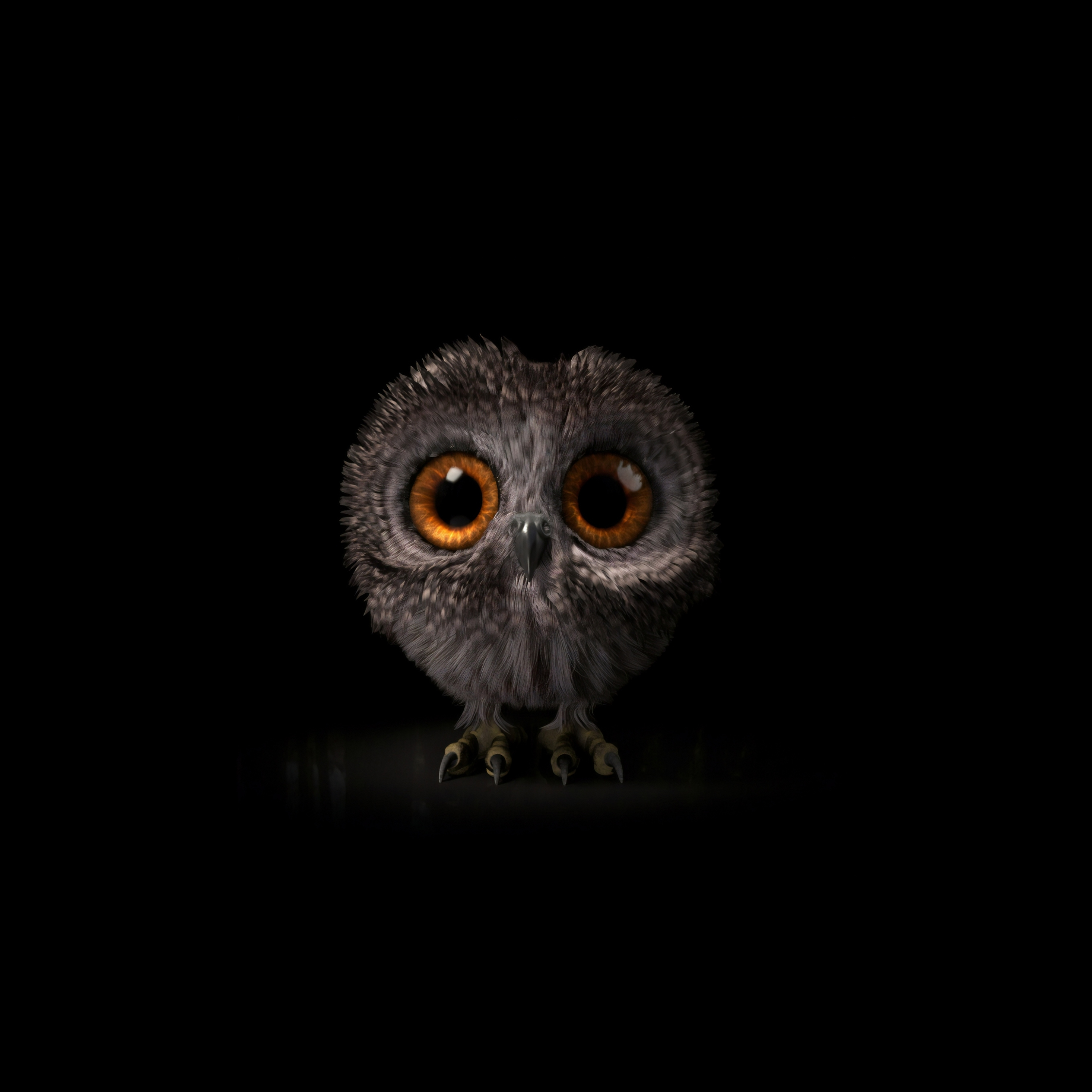Download wallpaper 2932x2932 pinfeather, fluffy owl, cute and adorable, ipad  pro retina, 2932x2932 hd background, 21924