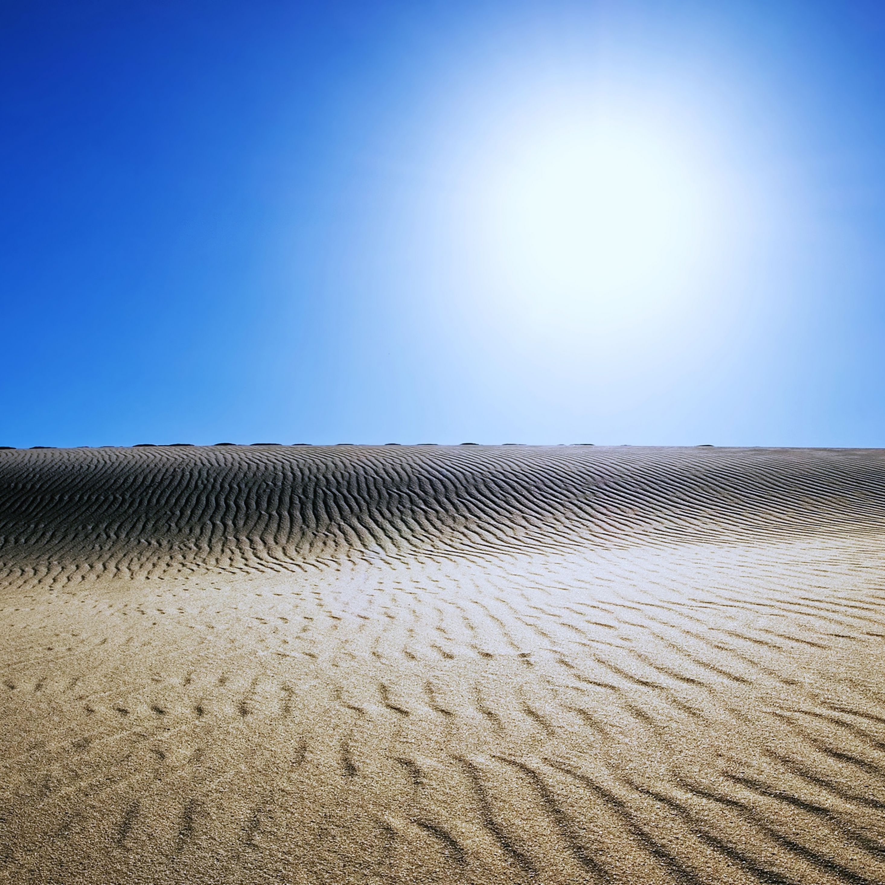 Пустыня. Зной. Пустыня пейзаж. Hot Sunny Day Desert.