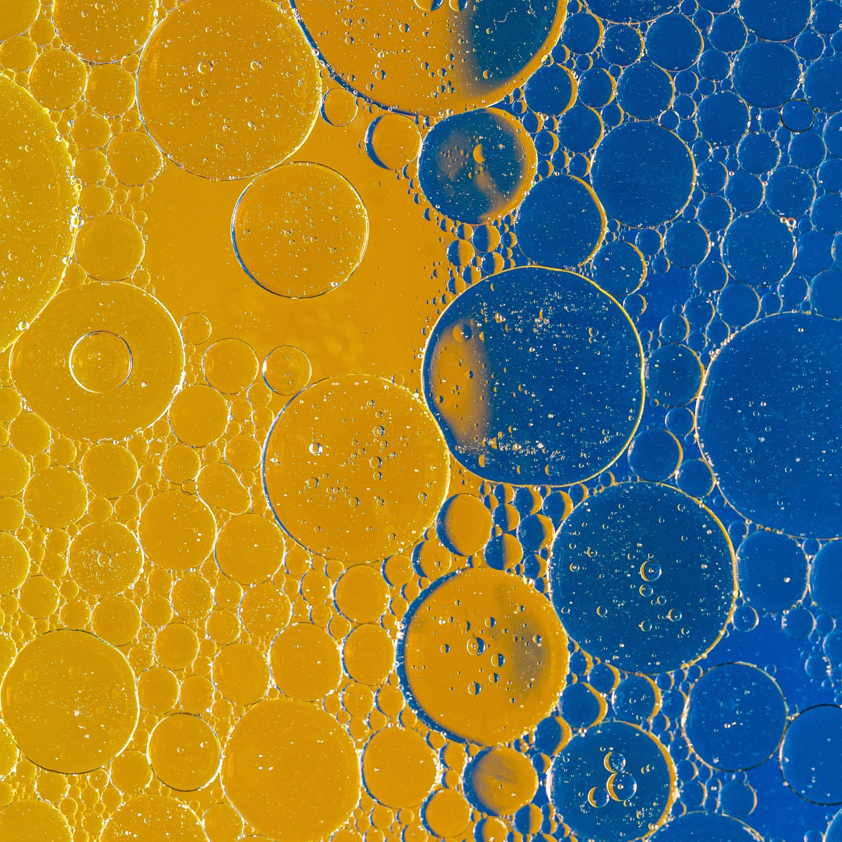 Виниловые обои пузырями. Обои пузыри. Абстракция мыльные пузыри. Желтые пузыри. Пузырь сине-желтый.