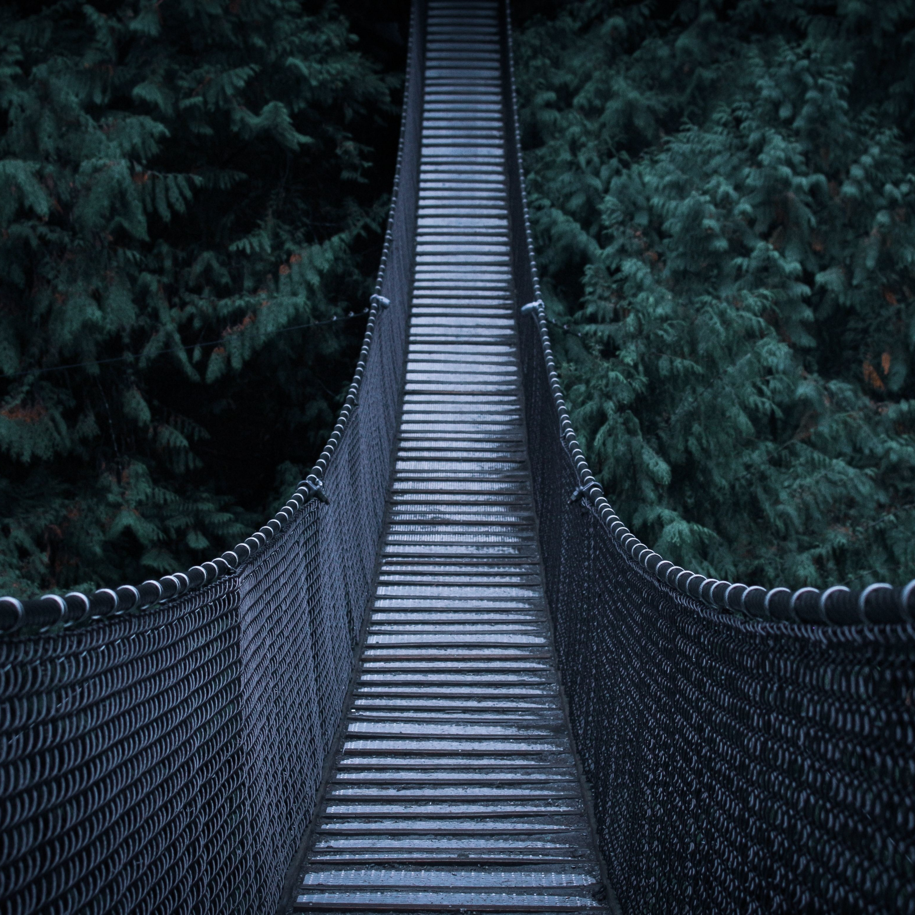 Lenovo bridge. Hanging Bridge.