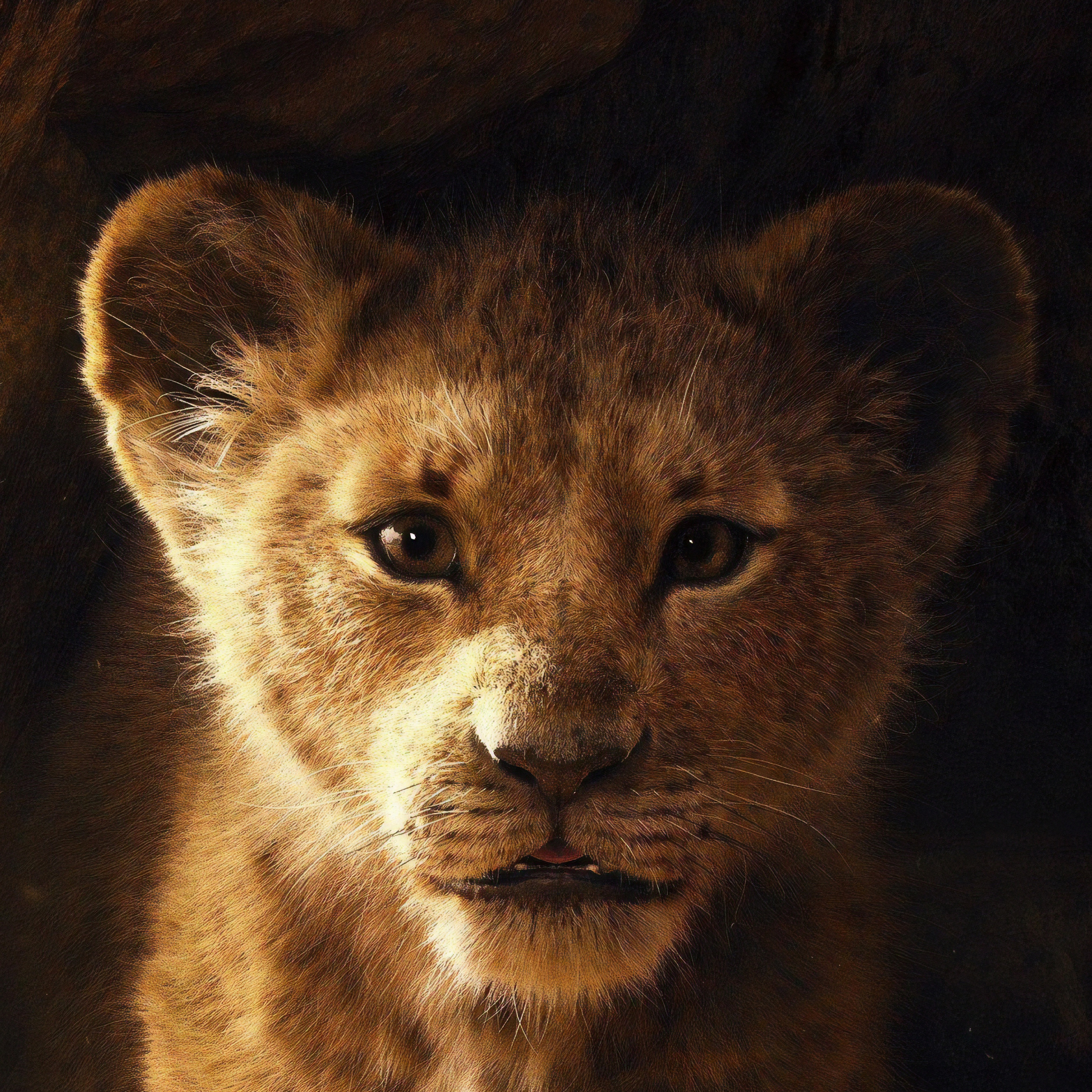 Download Simba The Lion King 2019 Movie 2932x2932   Ipad Pro   Simba The Lion King 2019 Movie 