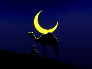 Camel and his master, moon, minimal, 320x240 wallpaper