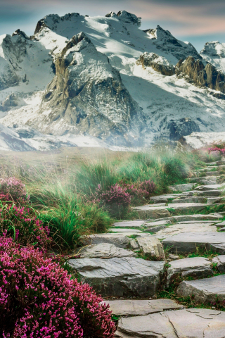 Scenic, spring, mountain, rocks steps, pathway, 240x320 wallpaper
