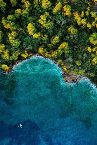 Island, forest, ocean, aerial view, 240x320 wallpaper
