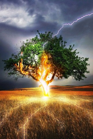 Lightning, flash, tree, landscape, storm, 240x320 wallpaper