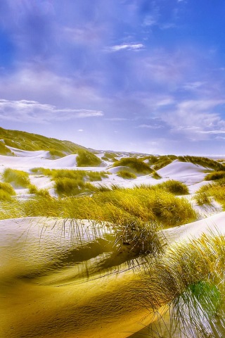 Grass, sand, beach, nature, landscape, 240x320 wallpaper