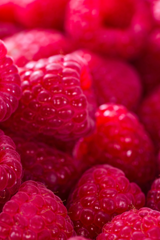 Raspberry, fruits, close up, fresh, 240x320 wallpaper