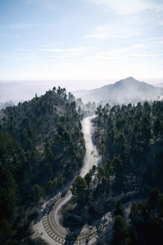 Forest, aerial shot, Need For Speed Payback, video game, 240x320 wallpaper