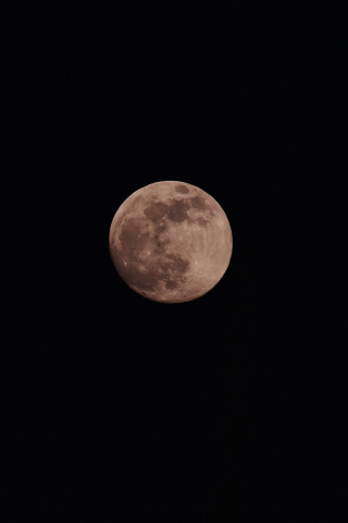 Full moon, lunar night, 240x320 wallpaper