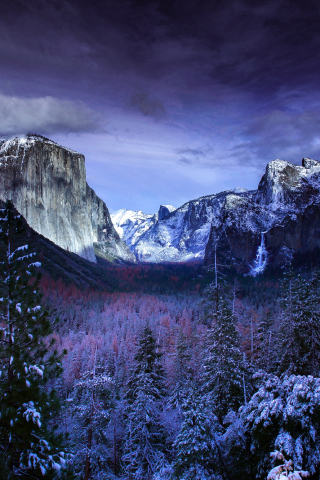 Yosemite valley, trees, sunset, winter, nature, 240x320 wallpaper