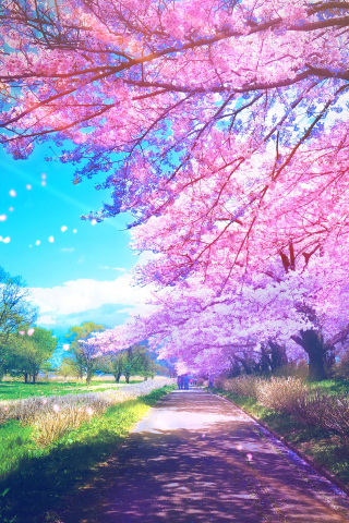 Original, anime, trees, blossom, 240x320 wallpaper