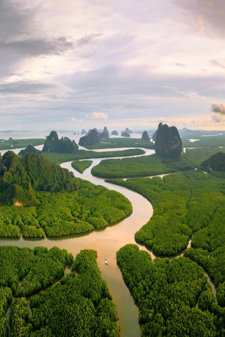 Mangrove forest, Phang Nga bay, Thailand, aerial view, nature, 240x320 wallpaper