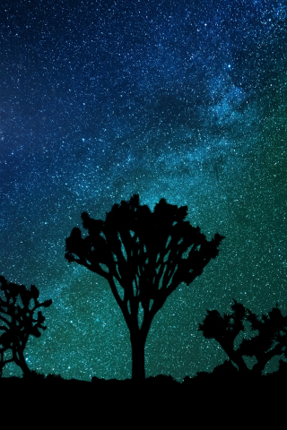 Blue green sky, milky way, joshua tree, night, 240x320 wallpaper