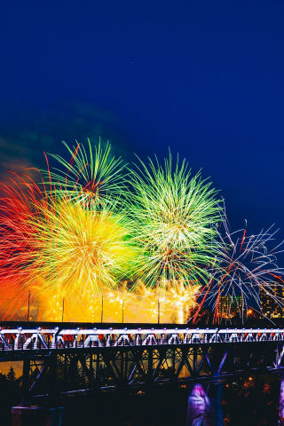 Fireworks, bridge, holiday, colorful, 240x320 wallpaper
