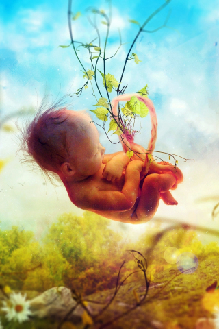 Fetus, nature, baby, dream, surreal, fantasy, 240x320 wallpaper